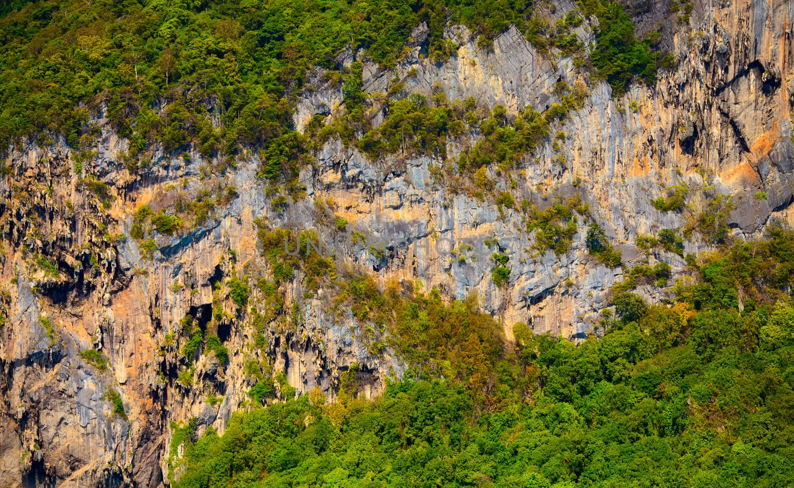 mountains with green trees in Krabi, Thailand