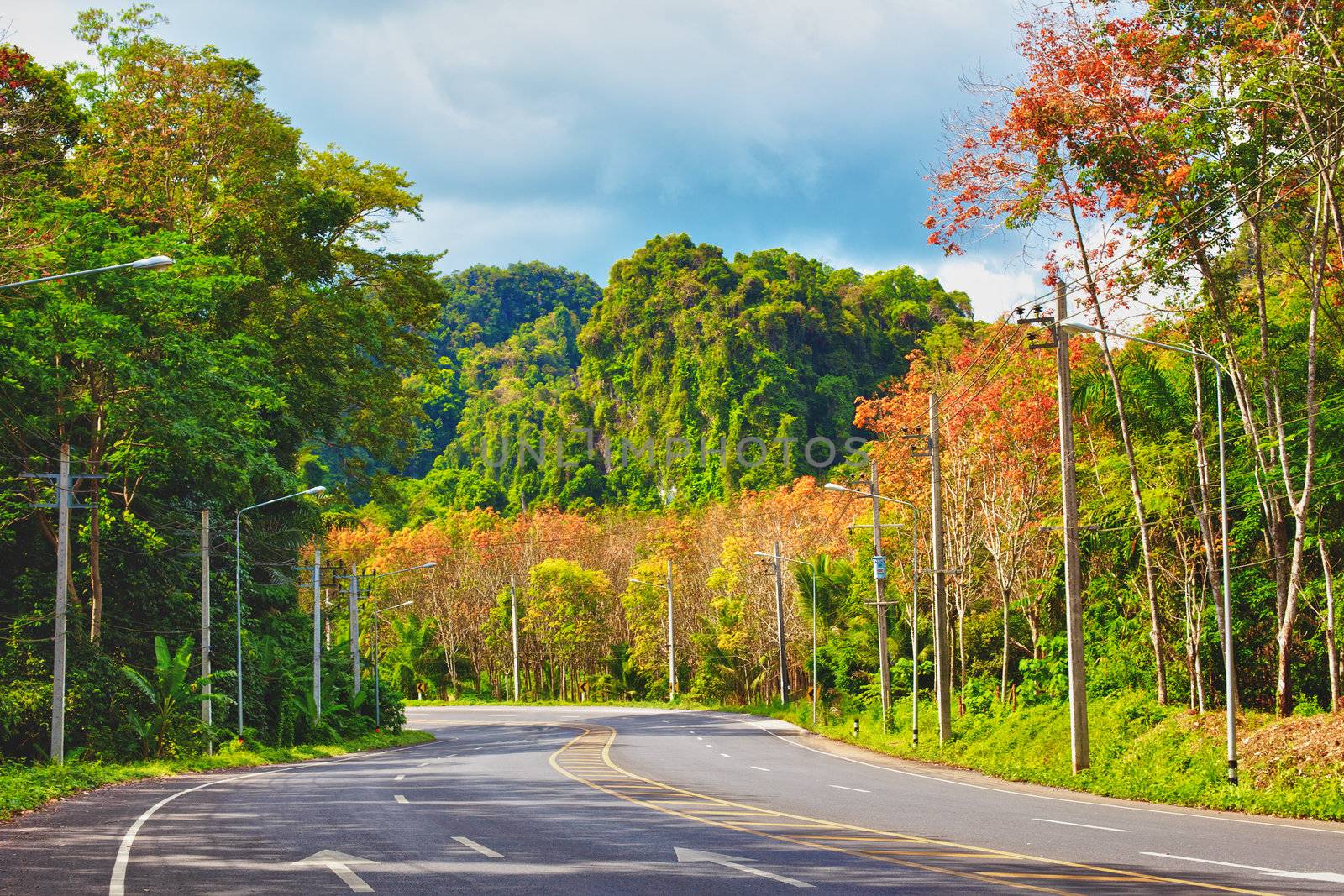 asphalt highway in jungle with mount, Krabi, Thailand