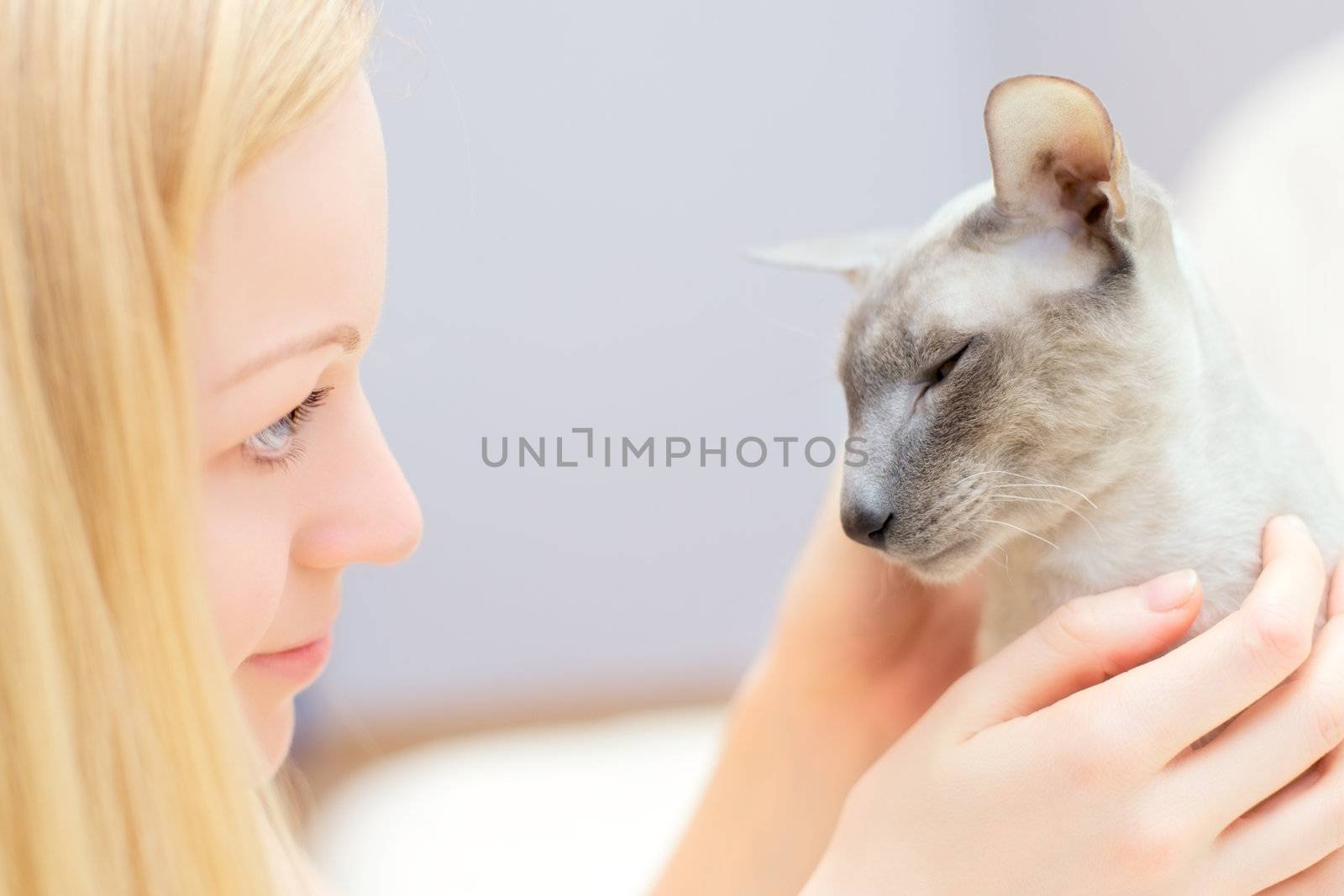 beautiful blond girl playing with cat in a bed