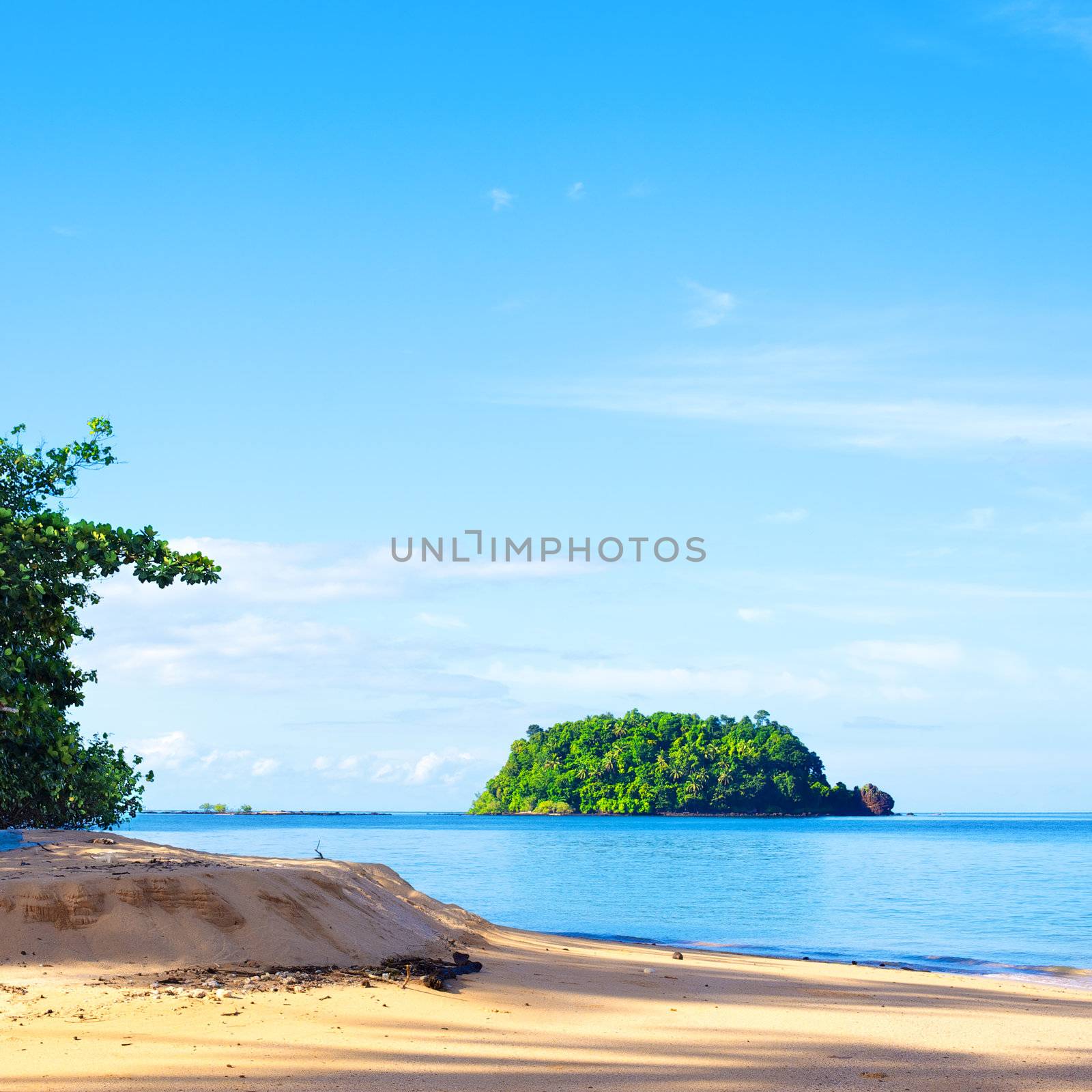 tropical jungle island in Andaman Sea, Thailand