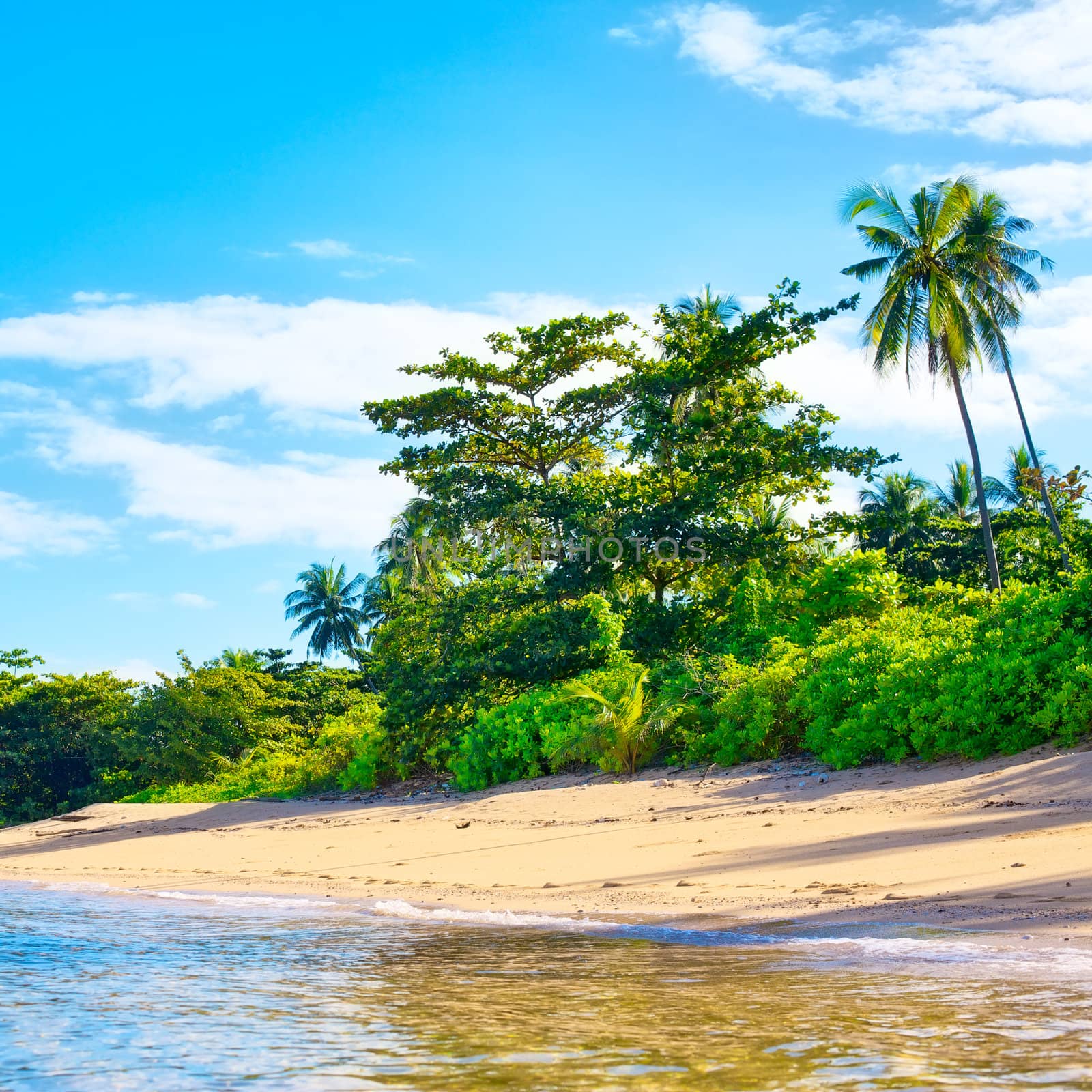 tropical beach with jungle, Andaman Sea, Thailand