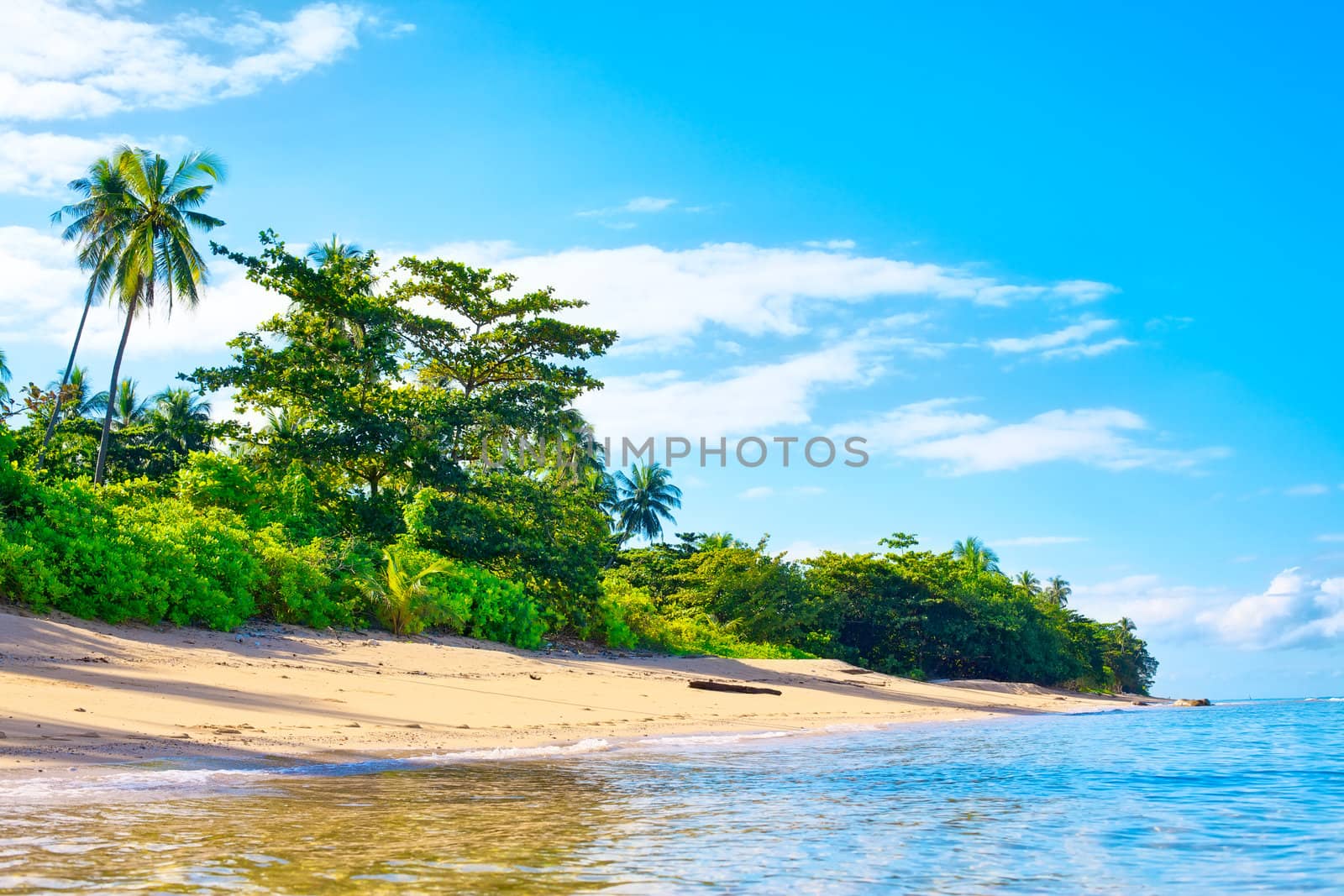 tropical beach with jungle, Andaman Sea, Thailand