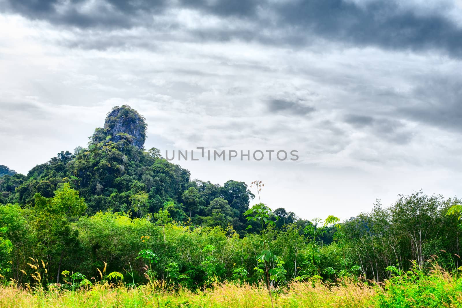 great mountain with green trees in Thailand