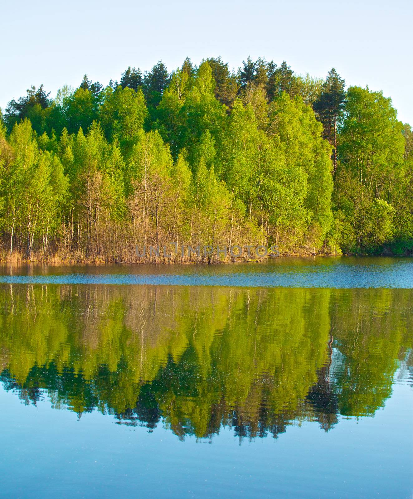 landscape with blue lake and green forest