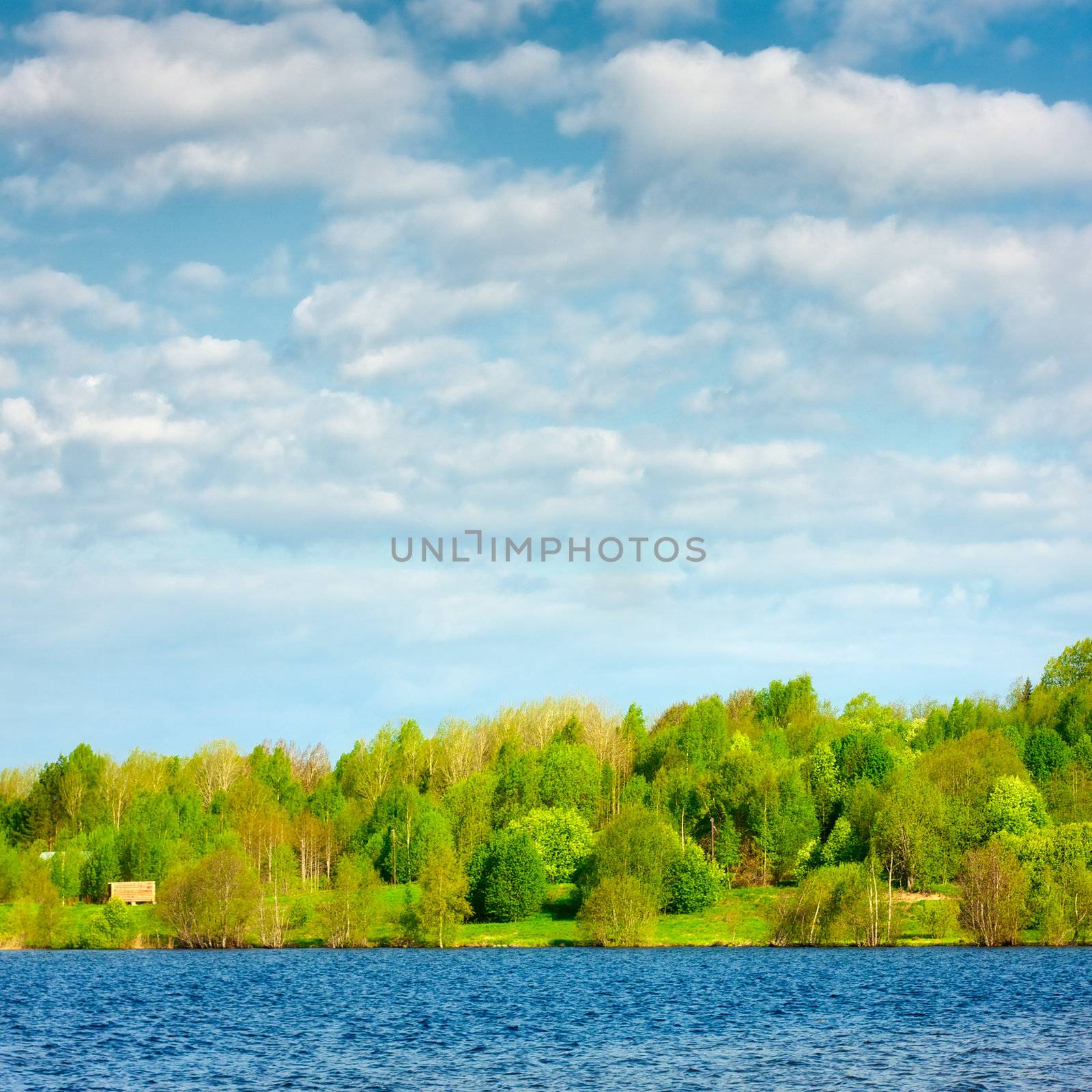 landscape with blue lake and green forest