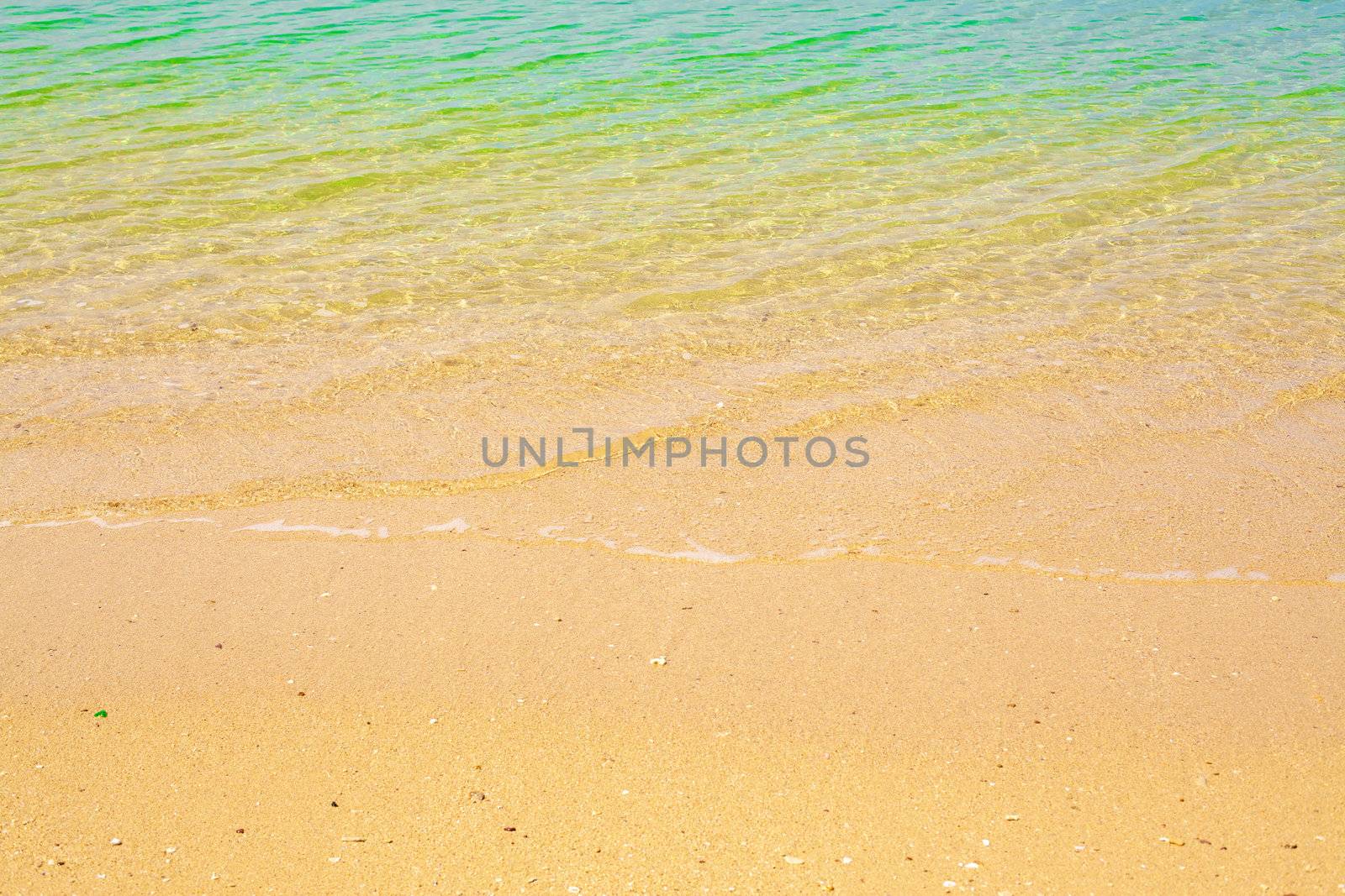 beach and tropical sea at sunny day