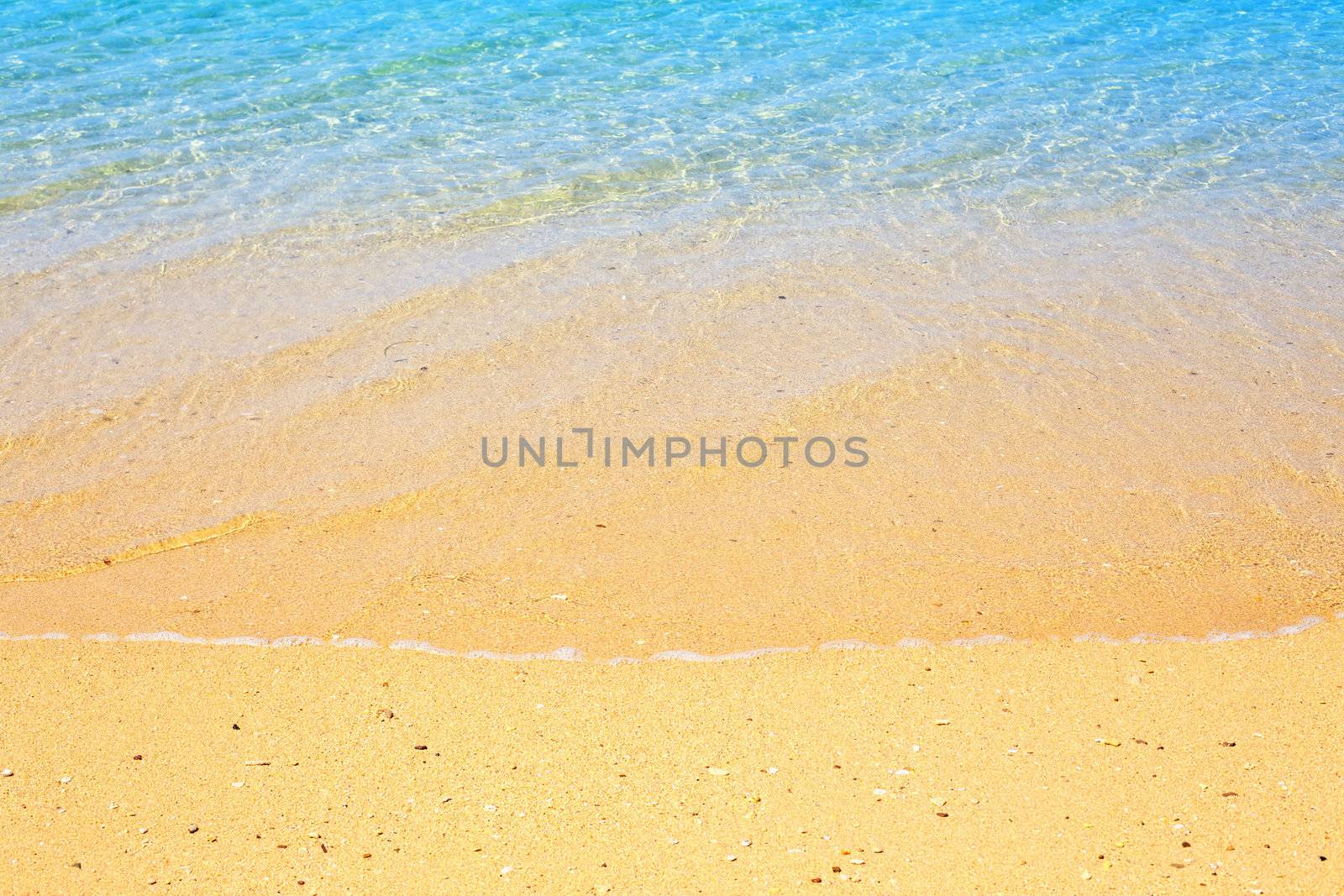 beach and tropical sea at sunny day