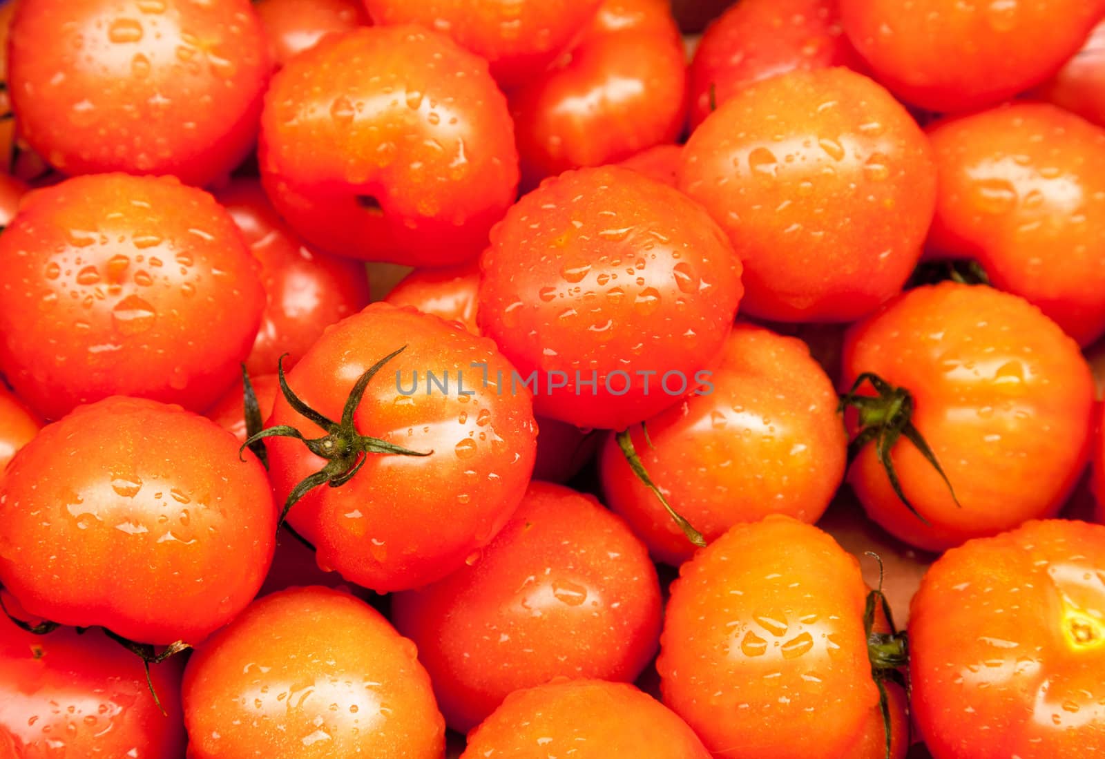 Raindrops on ripe red tomatoes in market stand