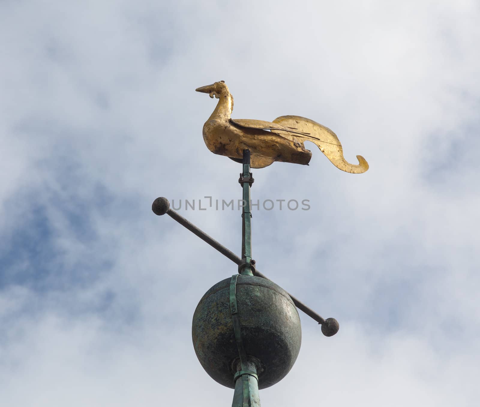 Golden swan weather vane on roof of tower of parish church of St Laurence in Ludlow