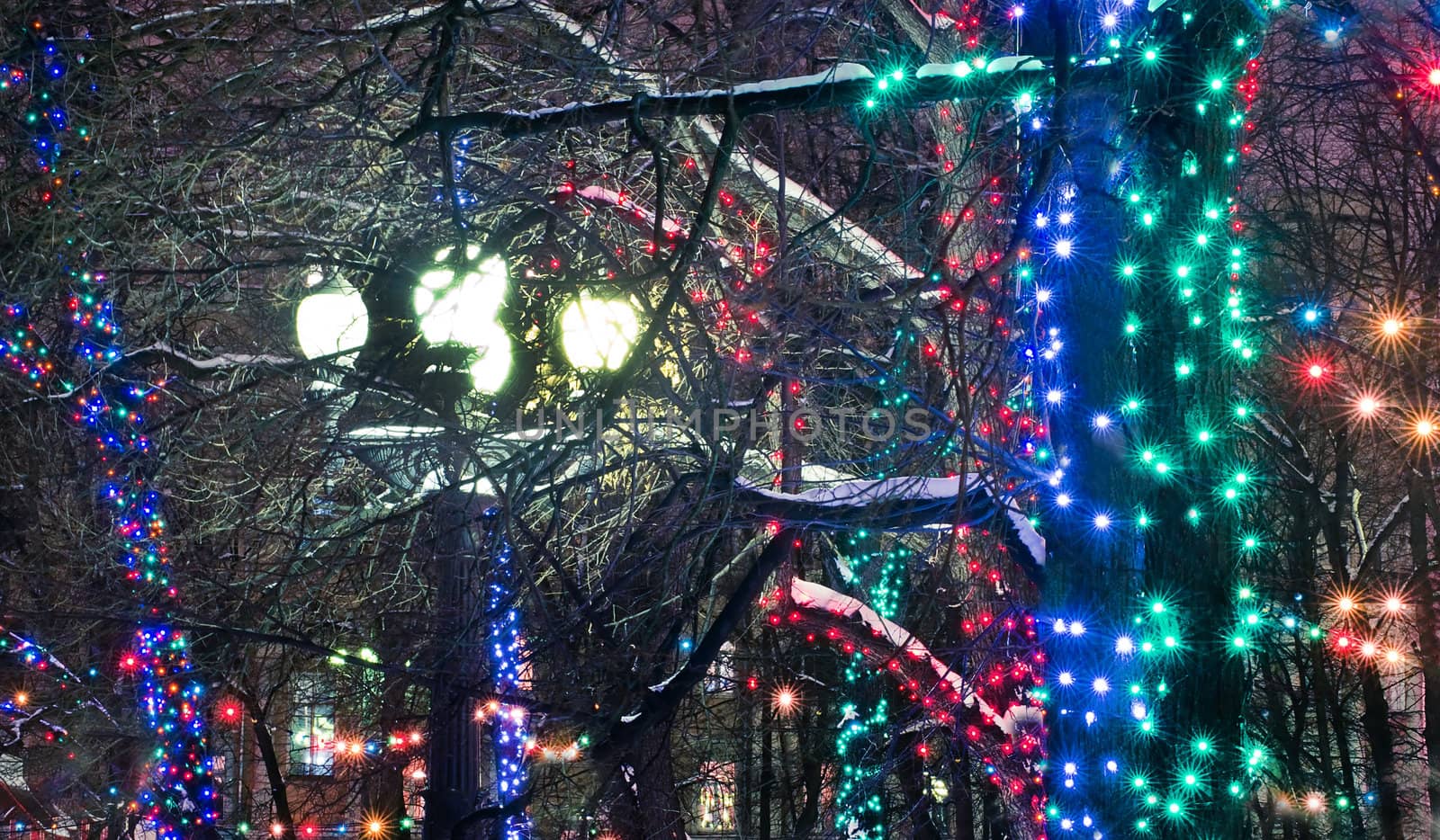 Christmas illuminations in a park in Moscow