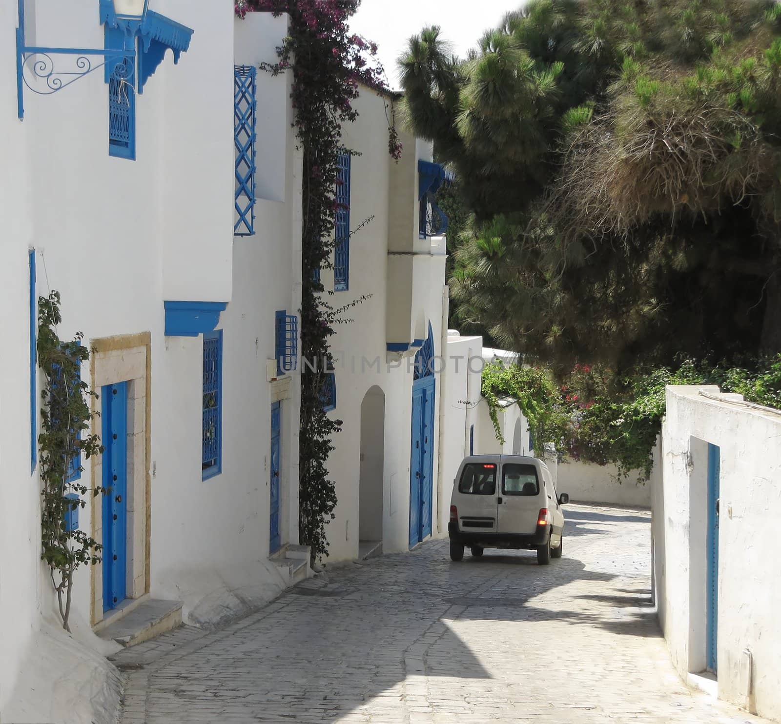 View of Sidi bu Said famouse historical Tunisian city