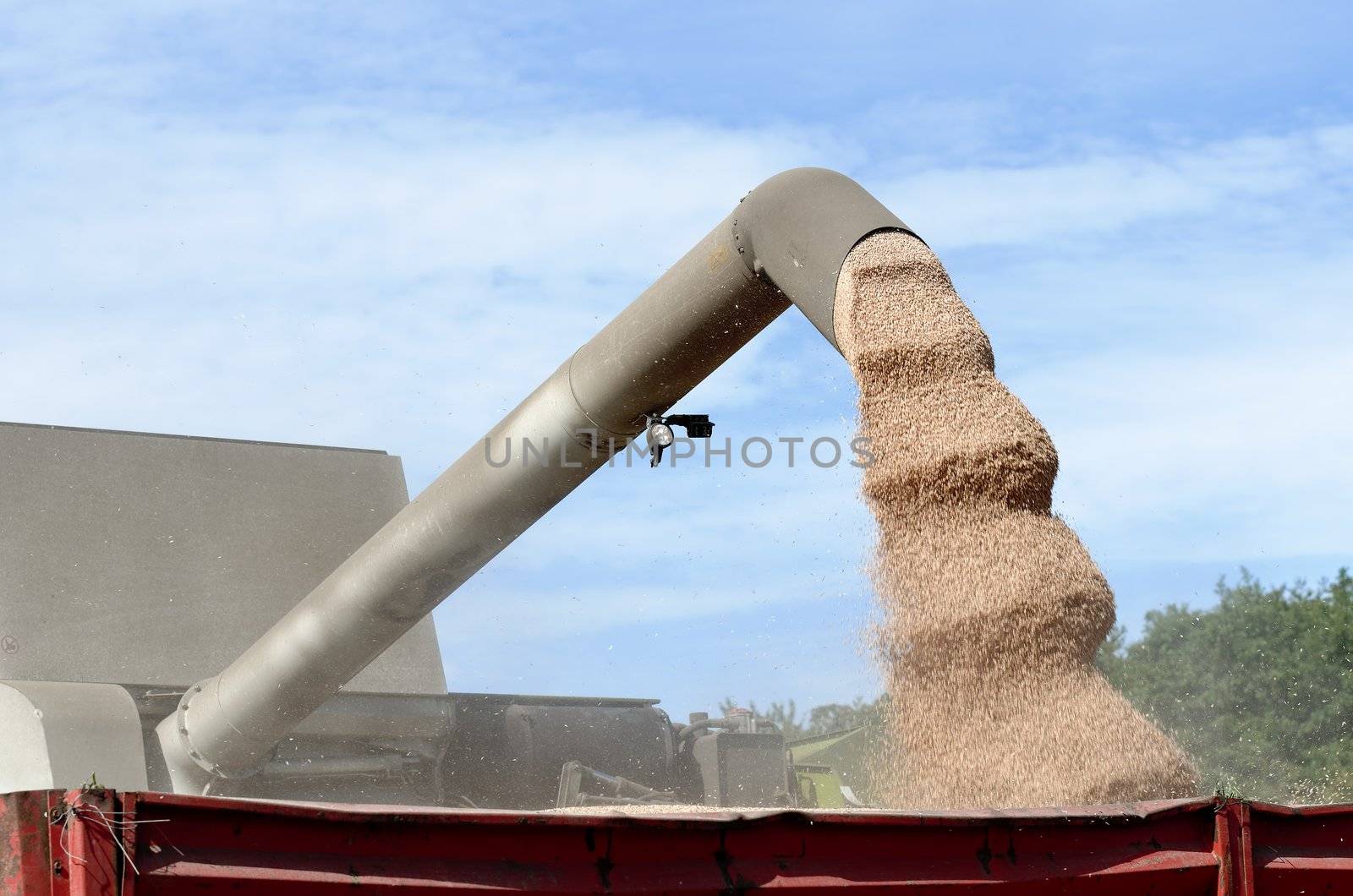 Harvesting on a storage trailer