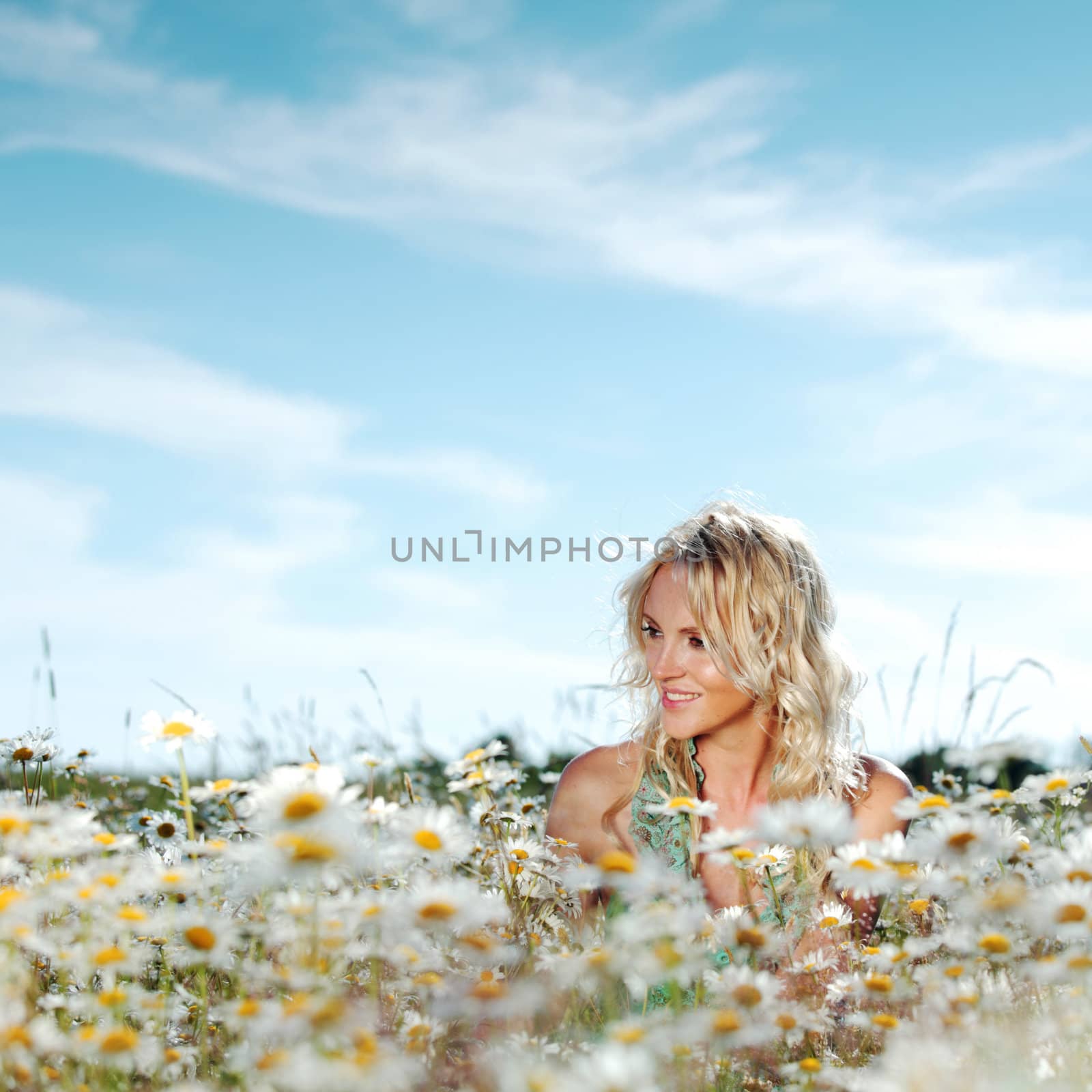 beautiful girl on the daisy flowers field 