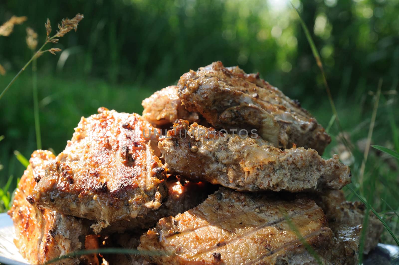 barbeque bits on grass background