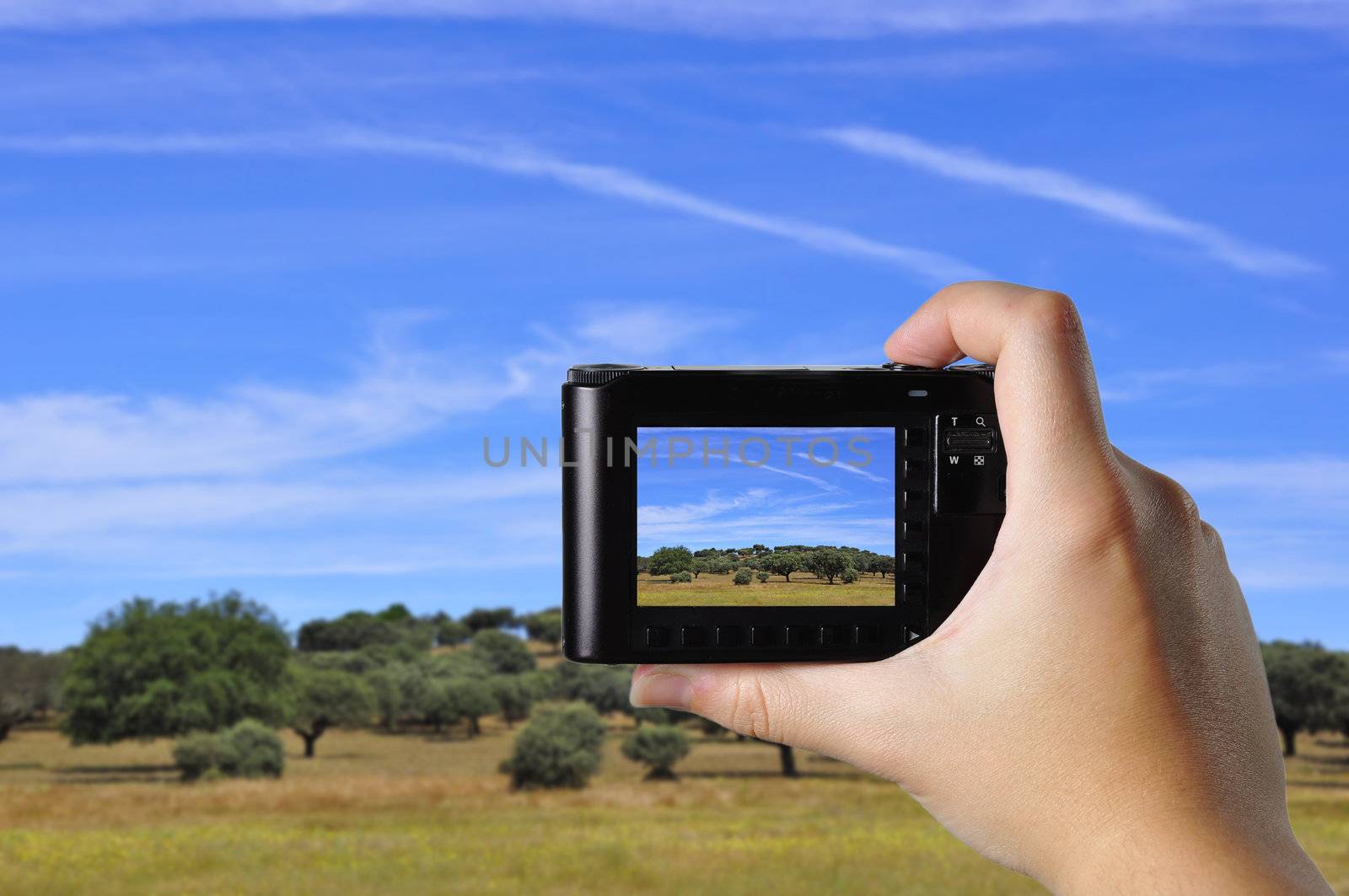 Someone taking a picture of a rural landscape, using a point-and-shoot camera