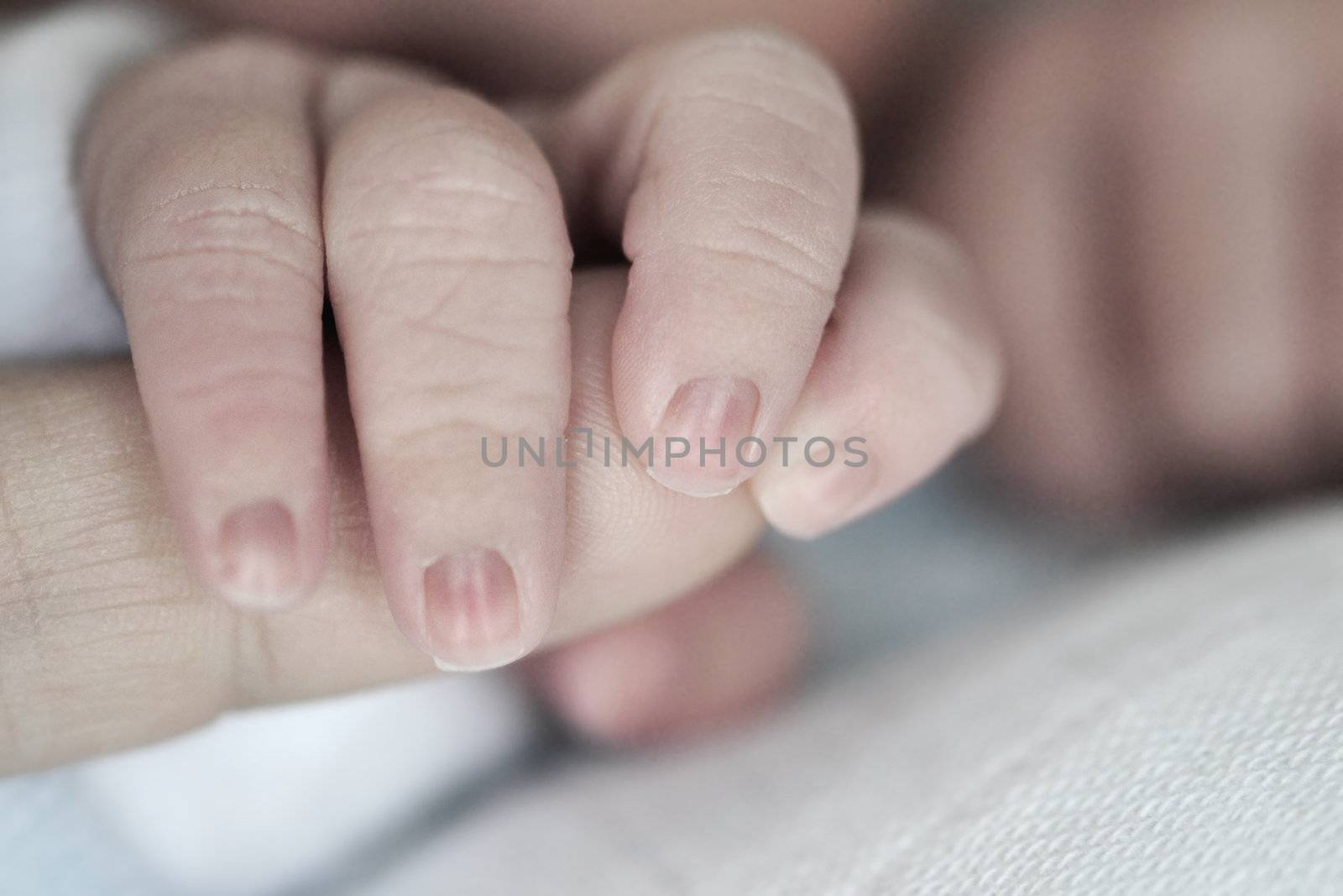 Baby hands by ruigsantos