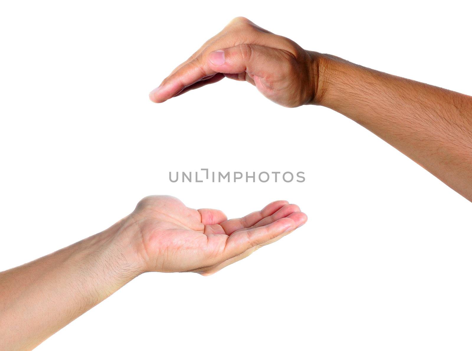 Two hands facing each other, representing protection