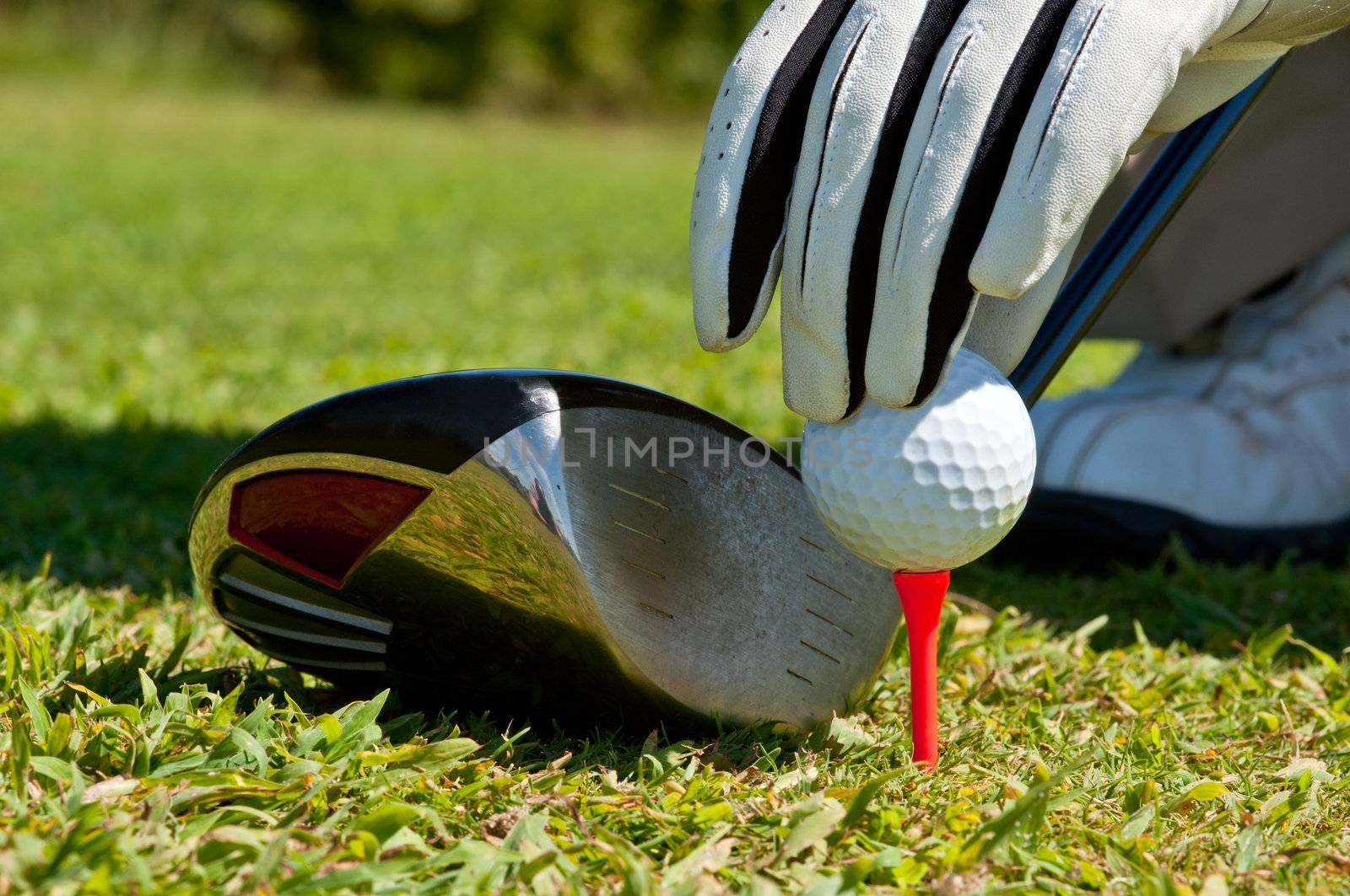 Hand placing a golf ball on a tee, next to a club.