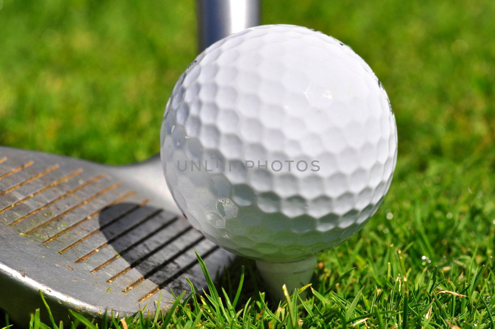 Golf ball and driver, ready to strike