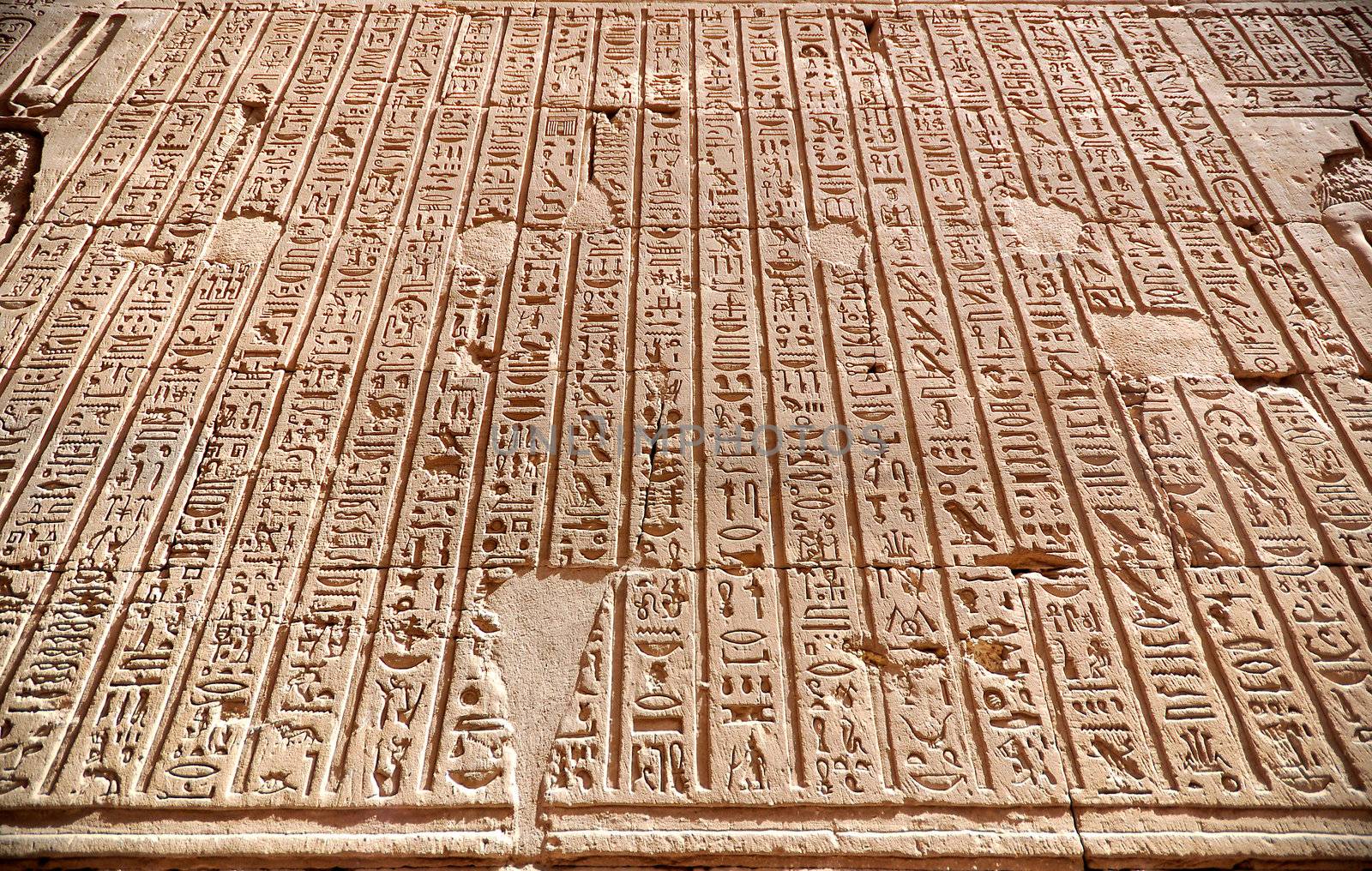Hierogliphic scripts by ruigsantos