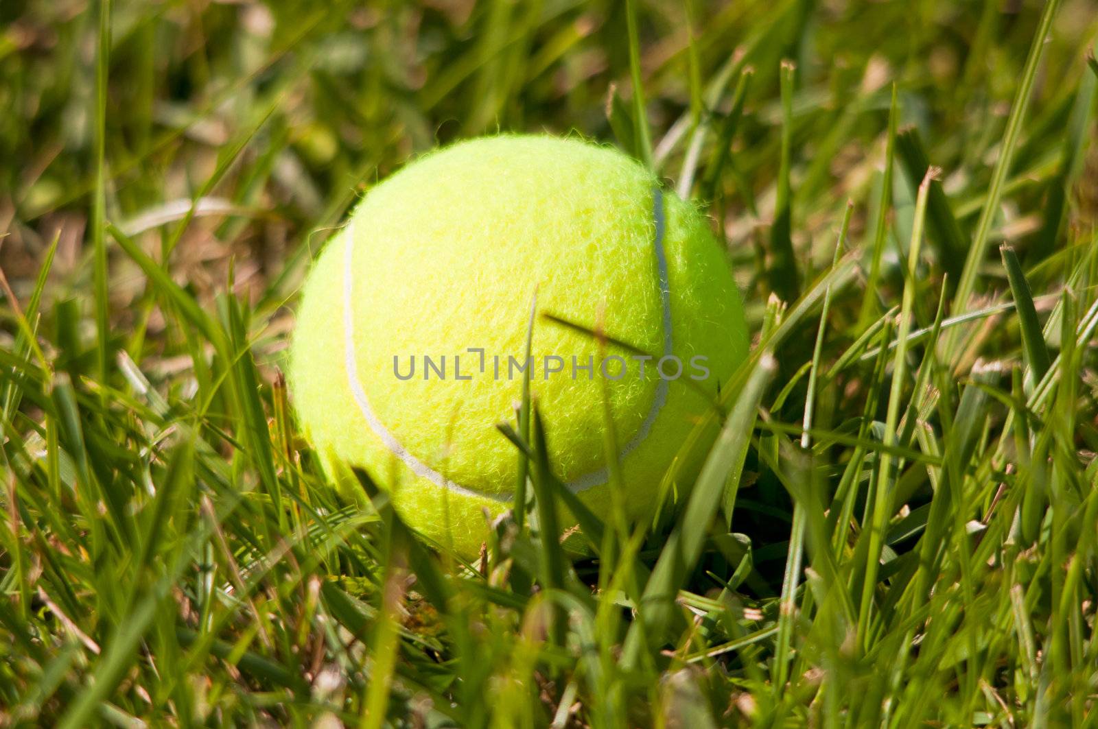 Tennis Ball by ruigsantos