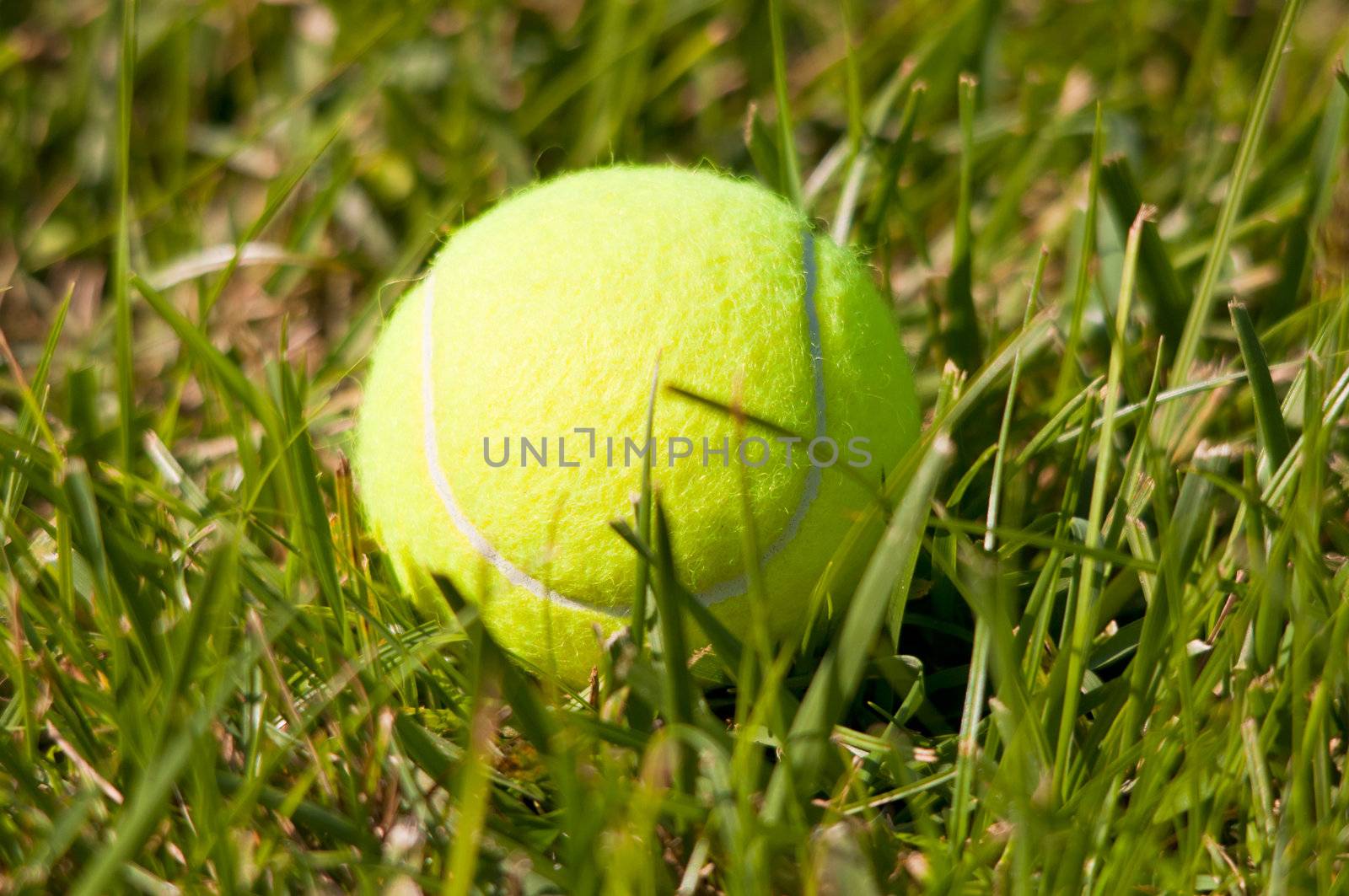 Tennis ball on a grass field