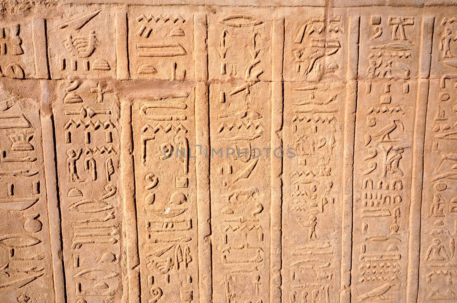 Hierogliphic scripts engraved on a wall