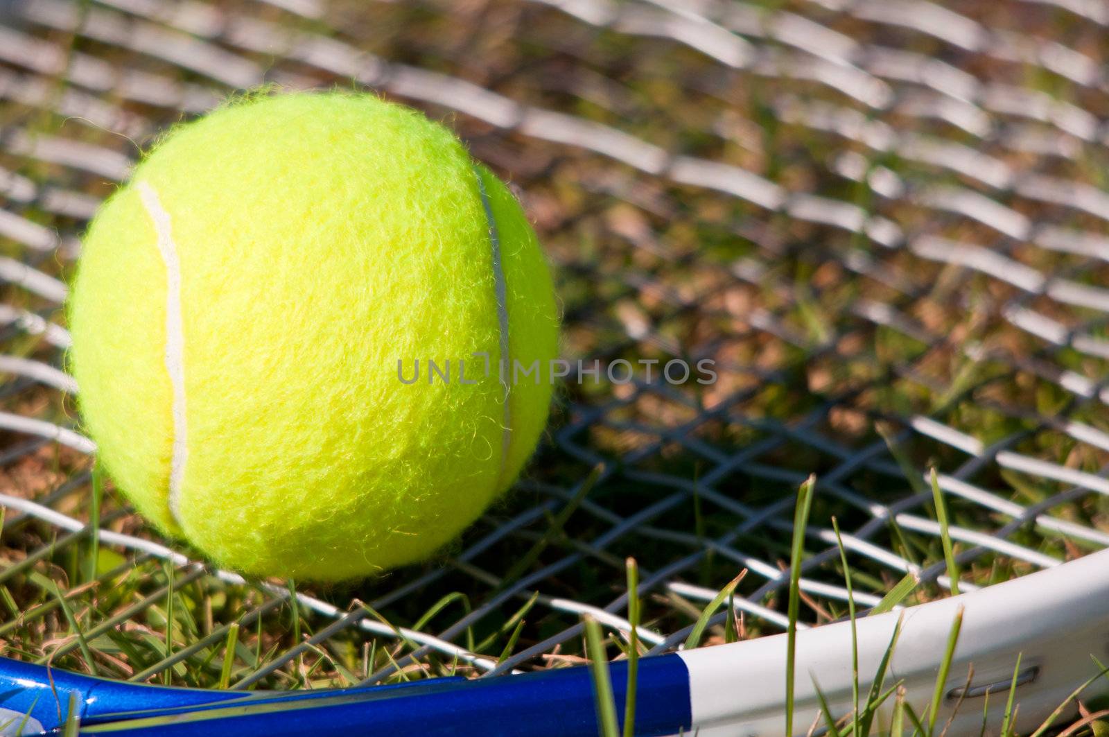 Tenis ball and racquet on grass