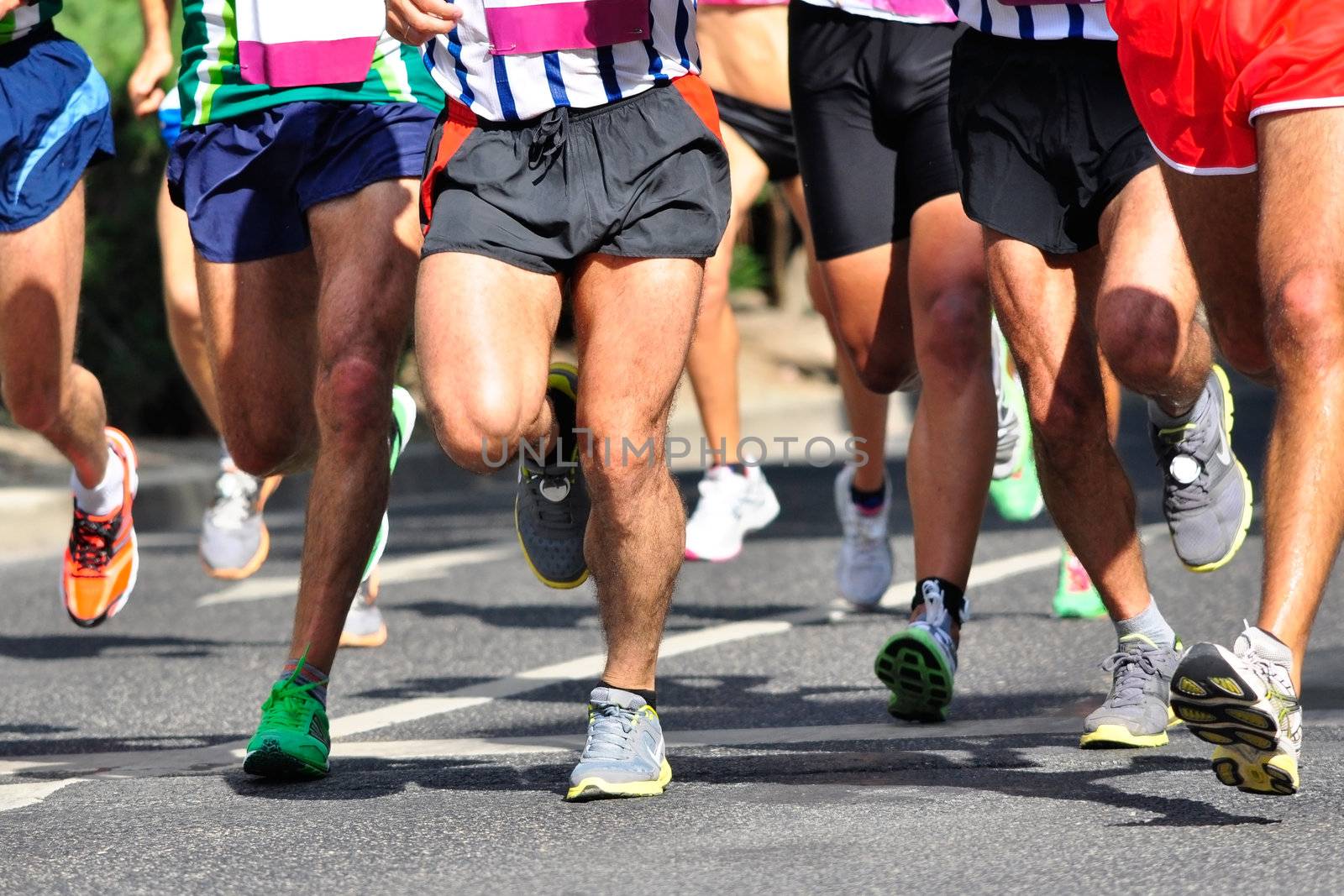 Group of marathon racers running