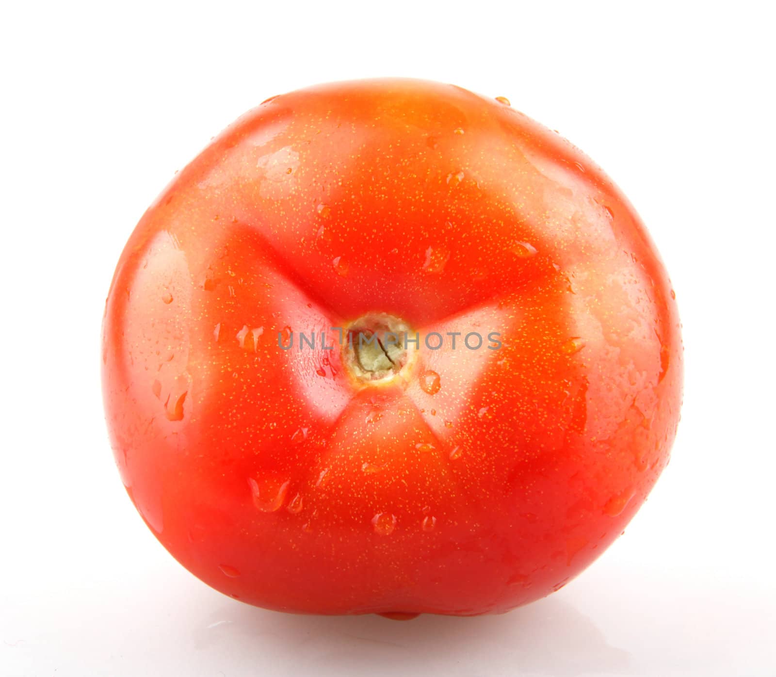 Tomato