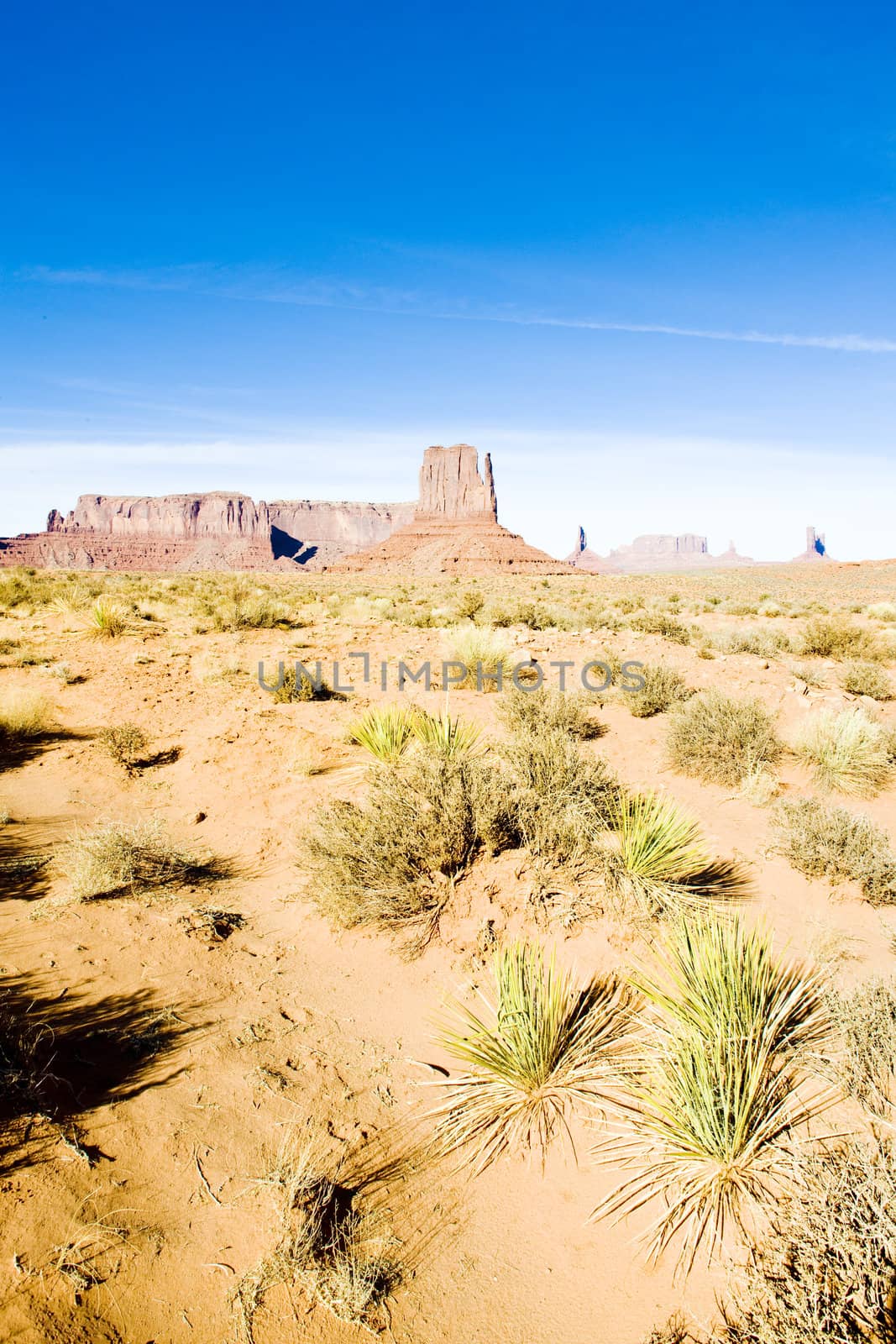 The Mitten, Monument Valley National Park, Utah-Arizona, USA