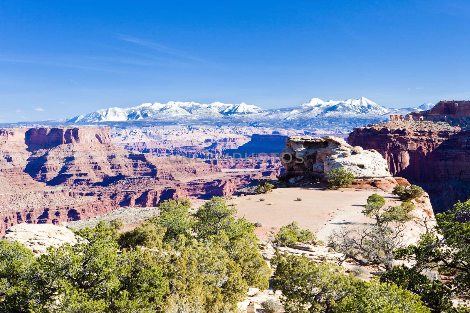 Canyonlands National Park, Utah, USA