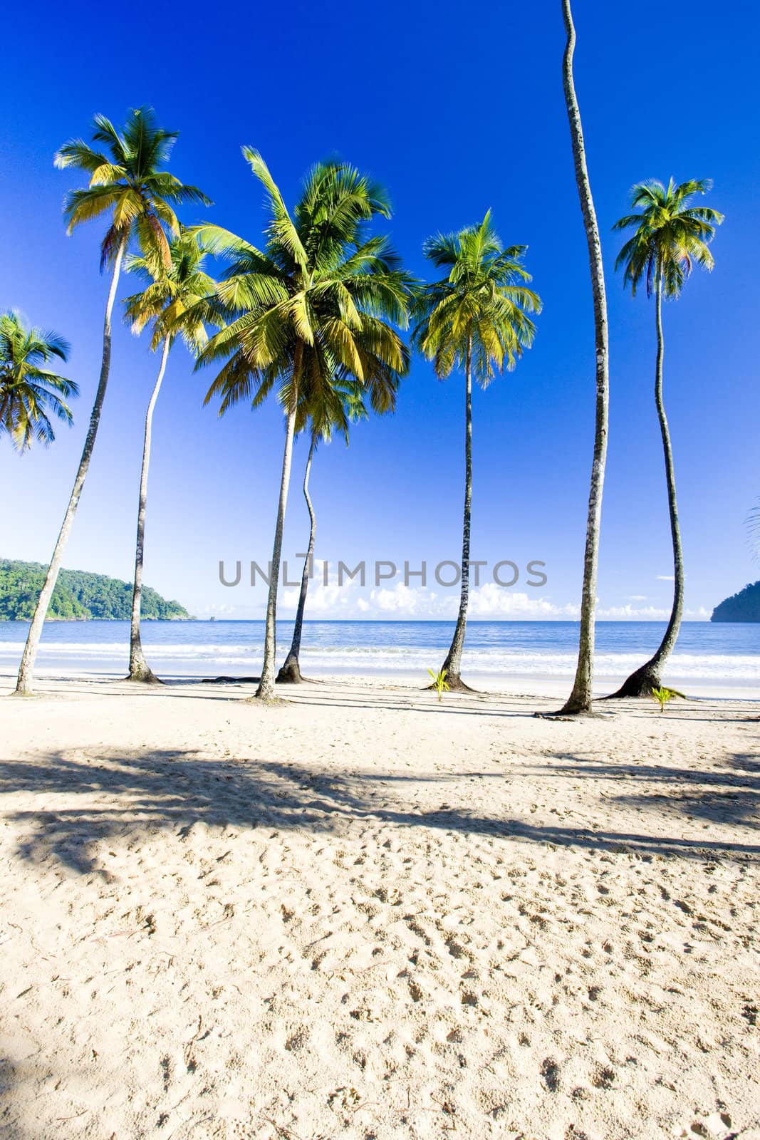 Maracas Bay, Trinidad