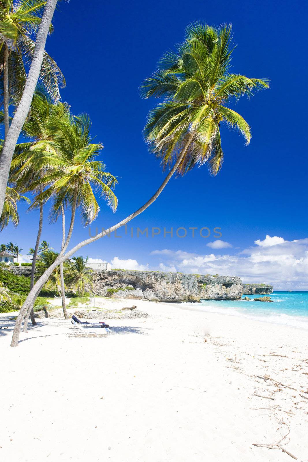 Bottom Bay, Barbados, Caribbean