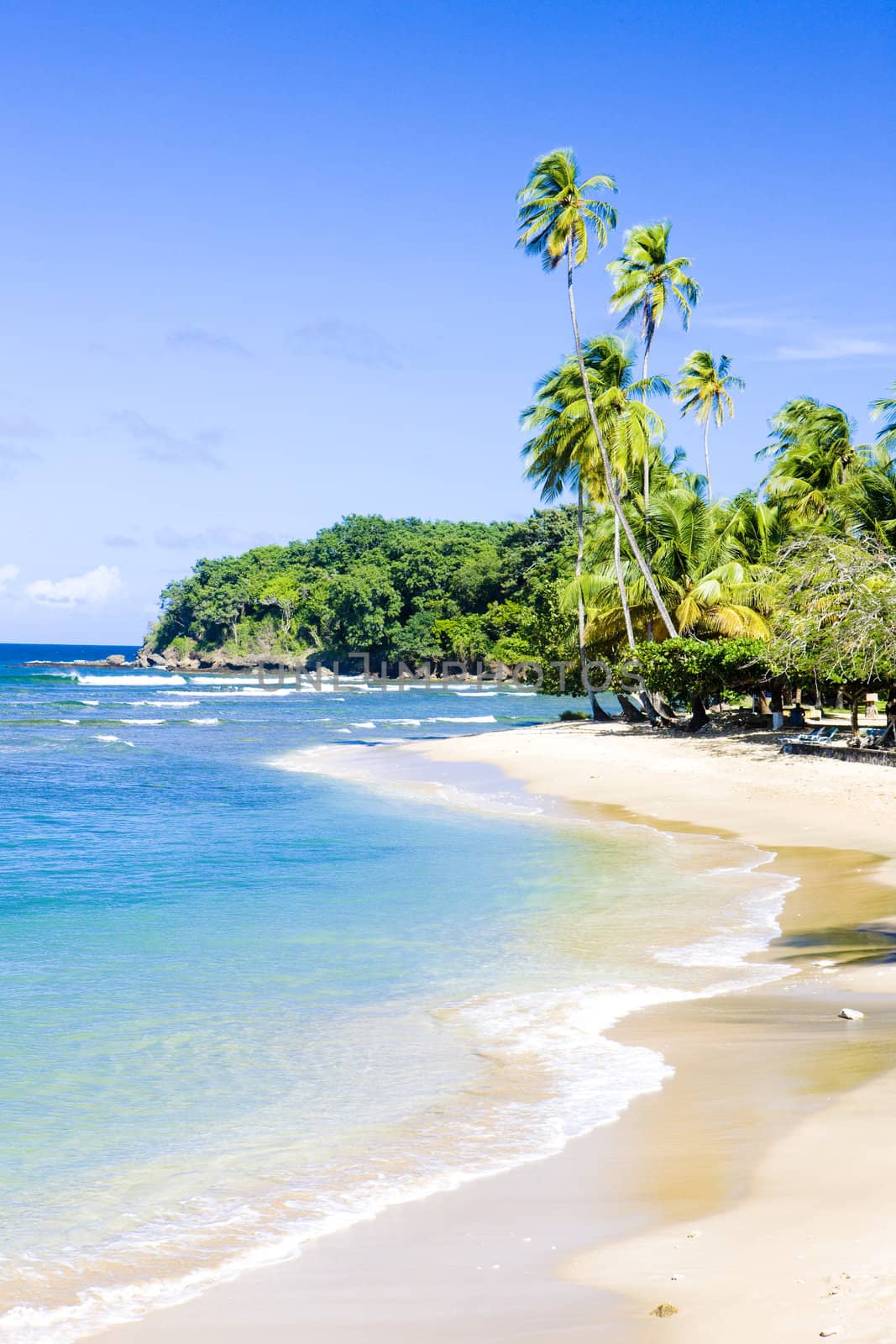 Mount Irvine Bay, Tobago