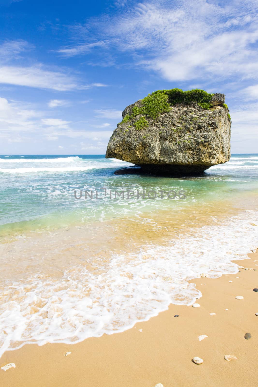 Bathsheba, Eastern coast of Barbados, Caribbean