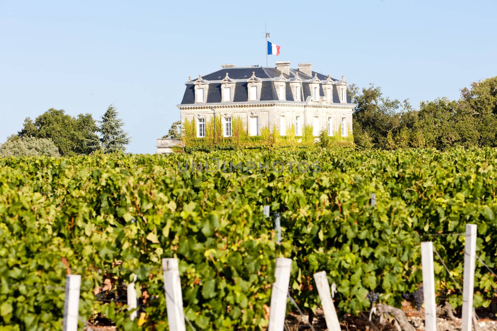 Chateau de la Tour, By, Bordeaux Region, France