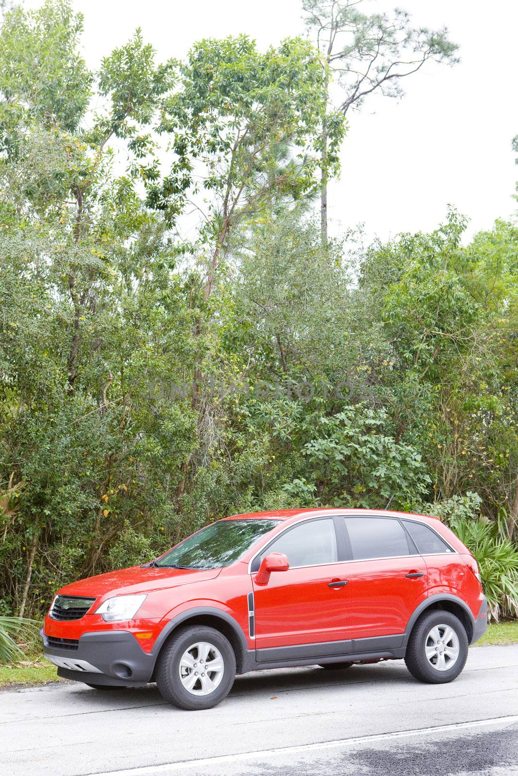car on road, Florida, USA