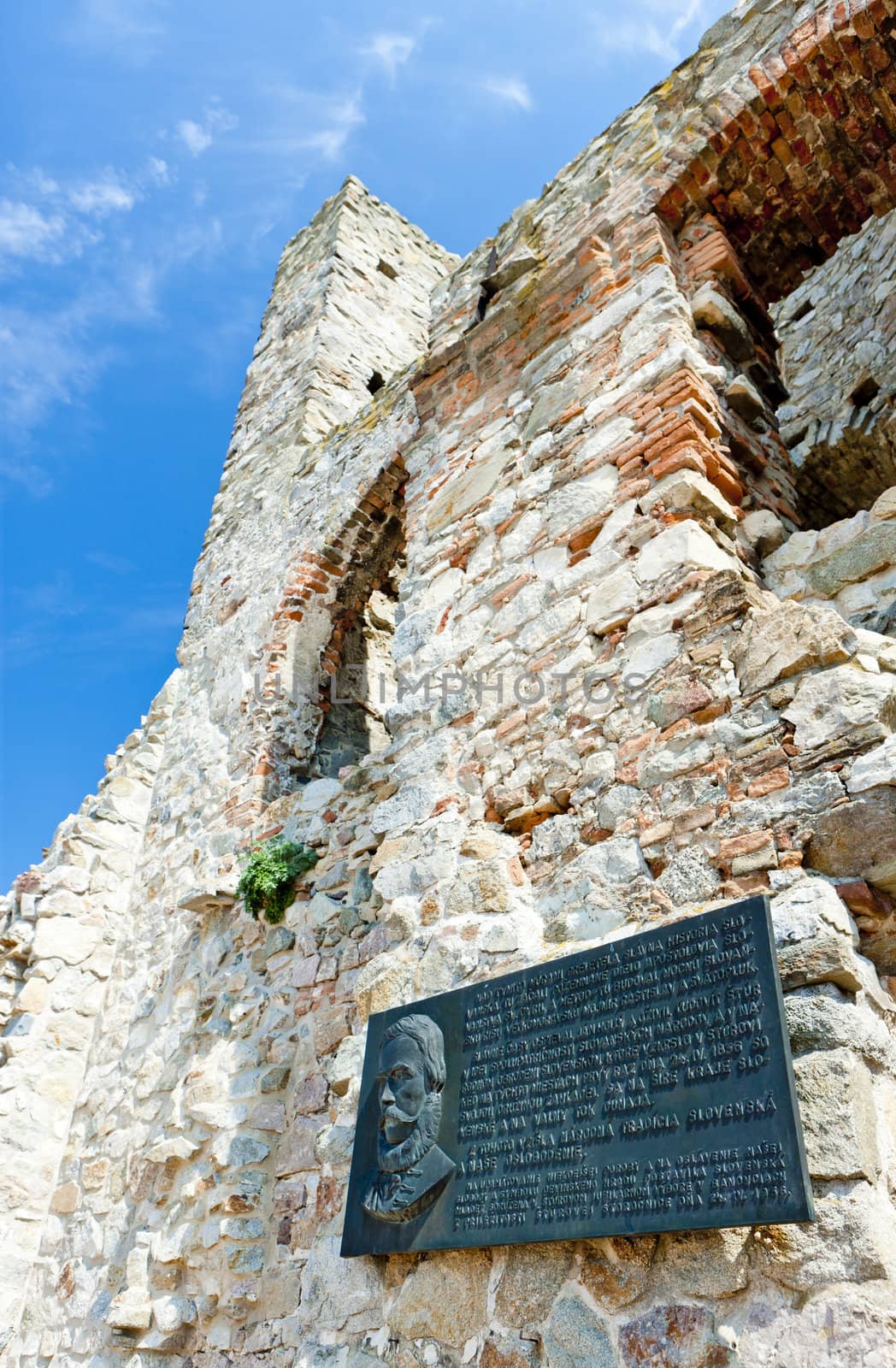 ruins of Devin Castle, Slovakia by phbcz