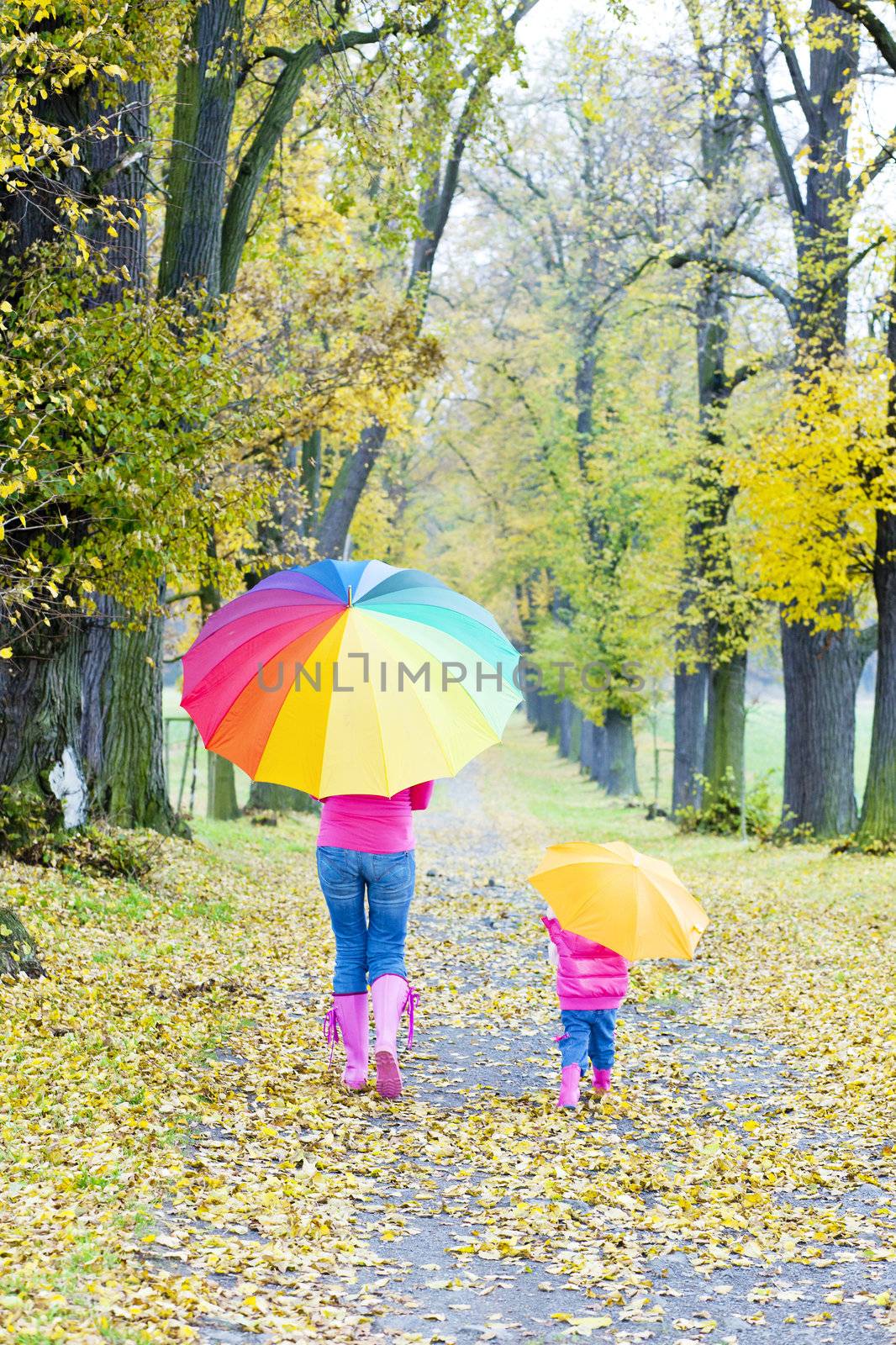 mother and her daughter with umbrellas in autumnal alley