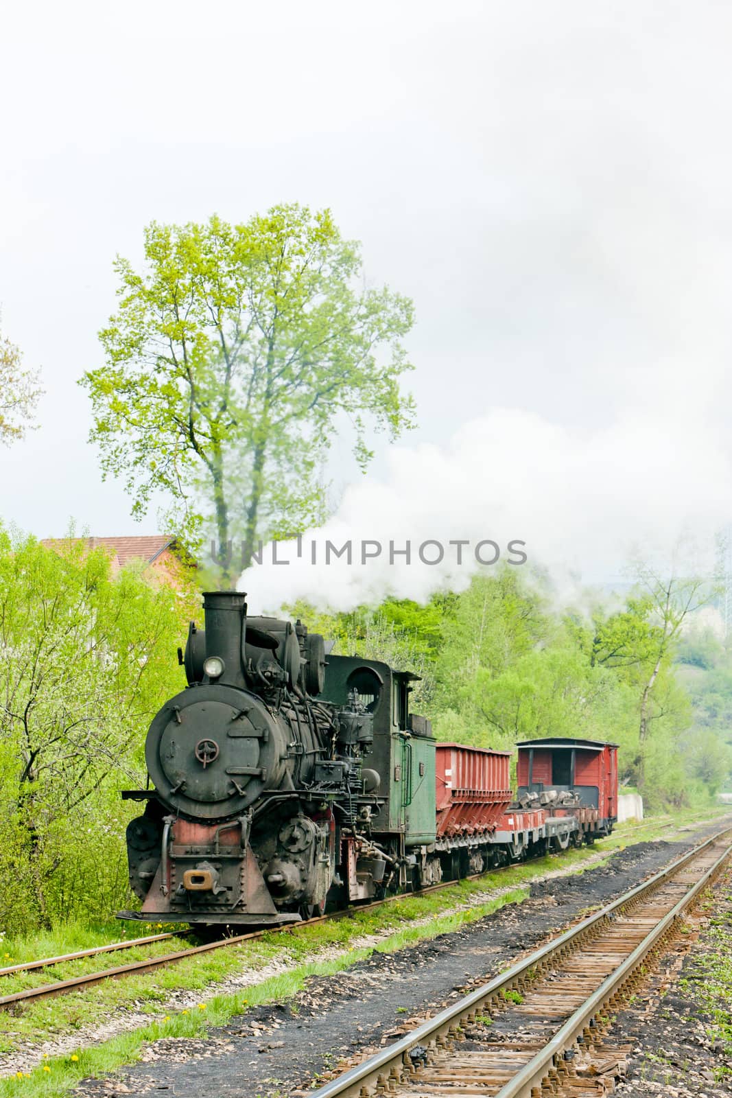 narrow gauge railway, Banovici, Bosnia and Hercegovina by phbcz