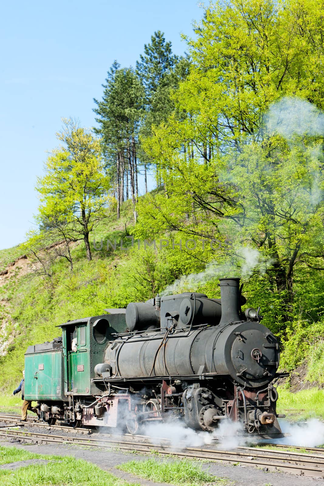 steam locomotive, delivery point in Oskova, Bosnia and Hercegovi by phbcz