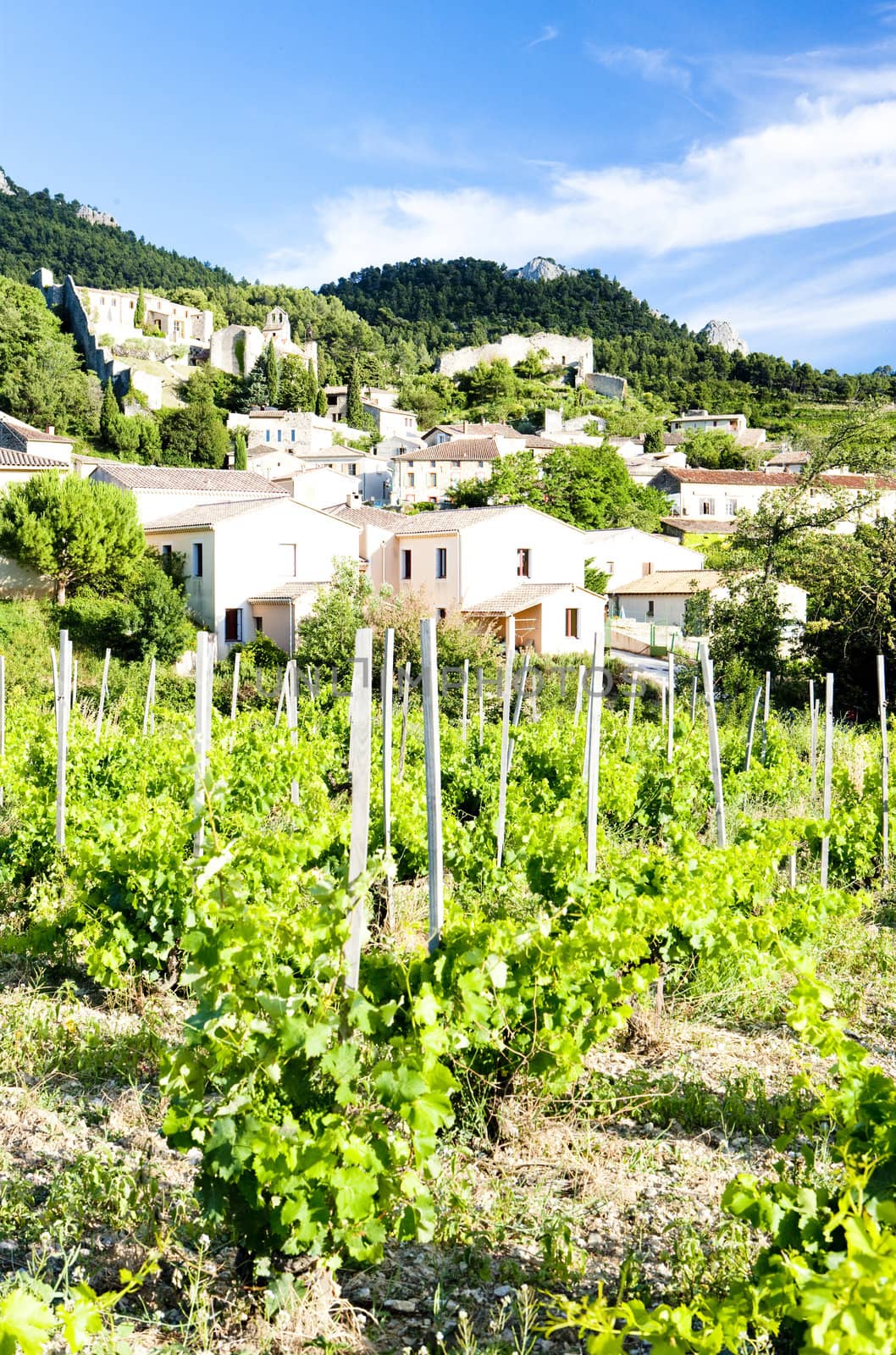 Gigondas with vineyard, Provence, France