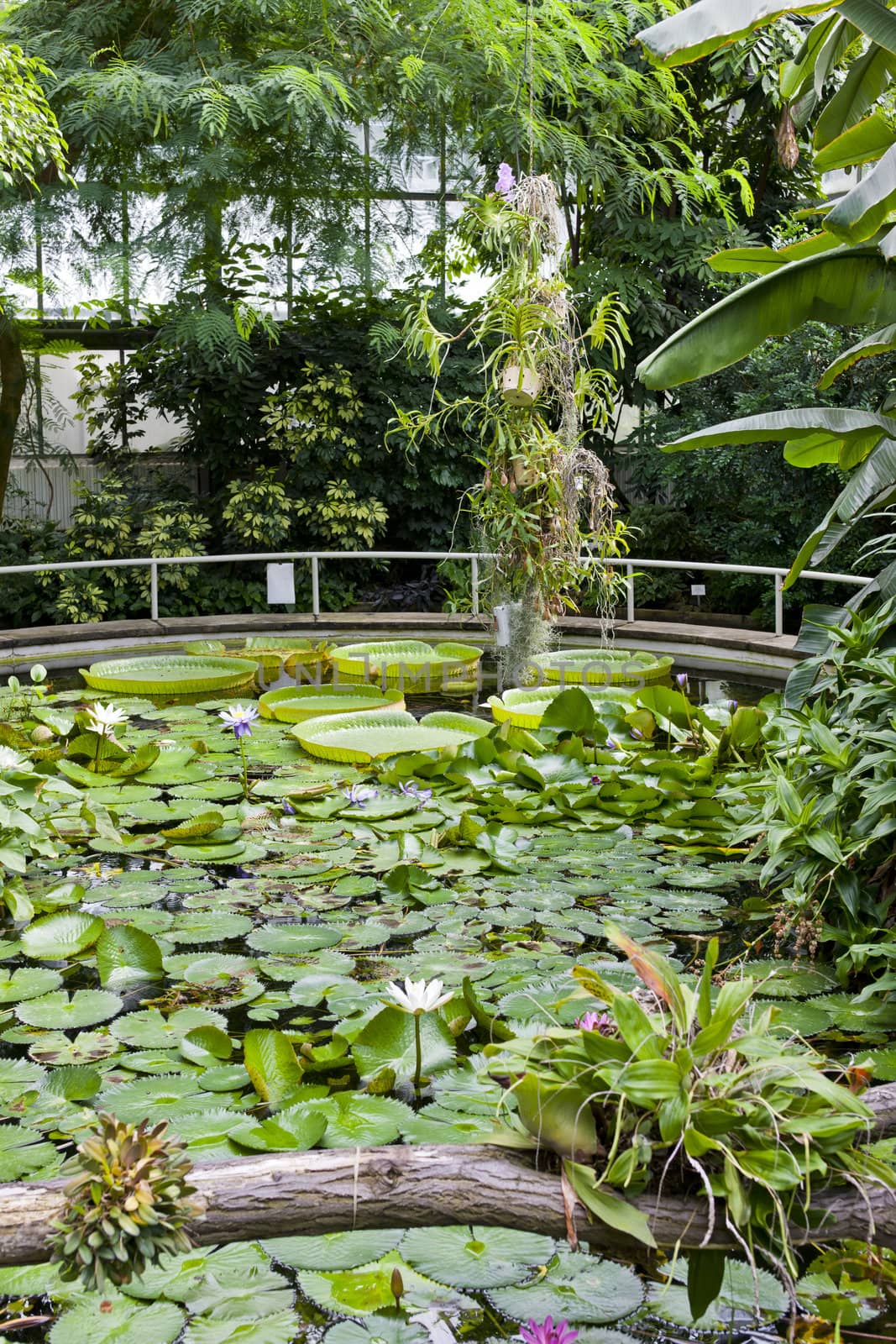 Botanical Garden Na Slupi, Prague, Czech Republic