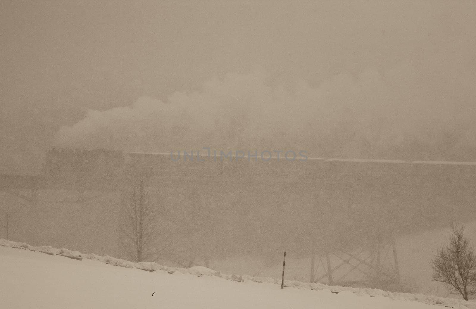 steam train, Oberwiesenthal - Cranzhal (Fichtelbergbahn), Germany