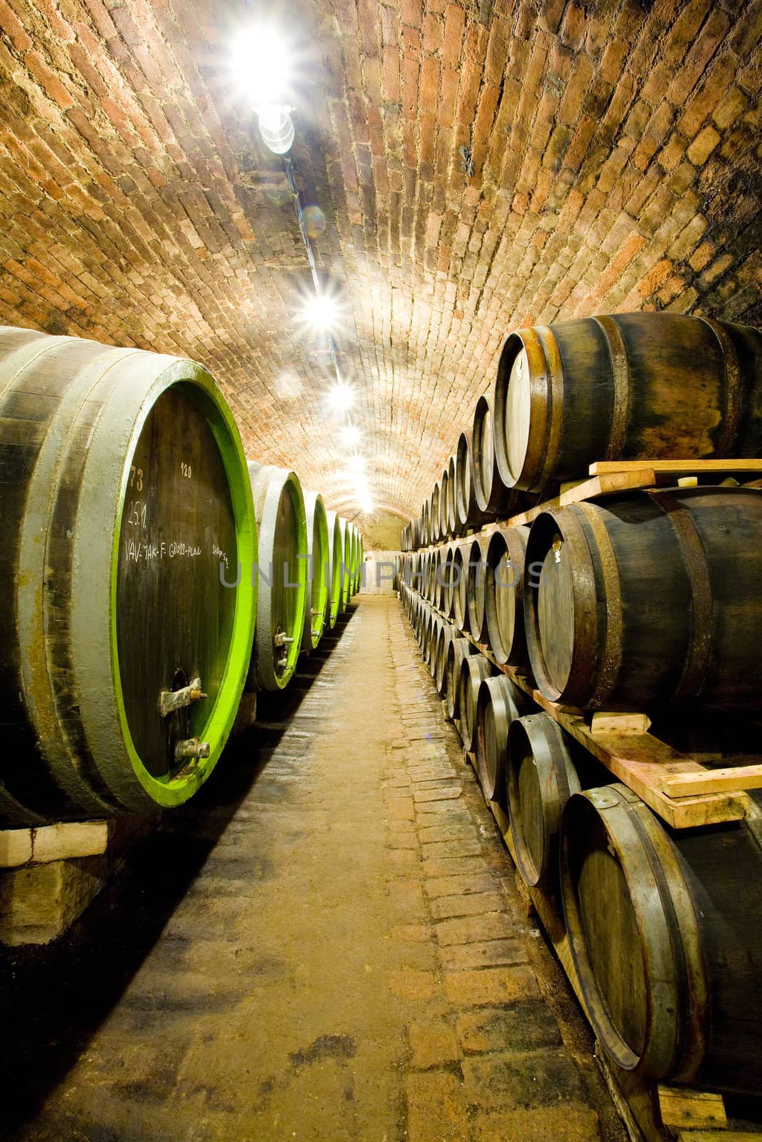 wine cellar, Jaroslavice, Czech Republic