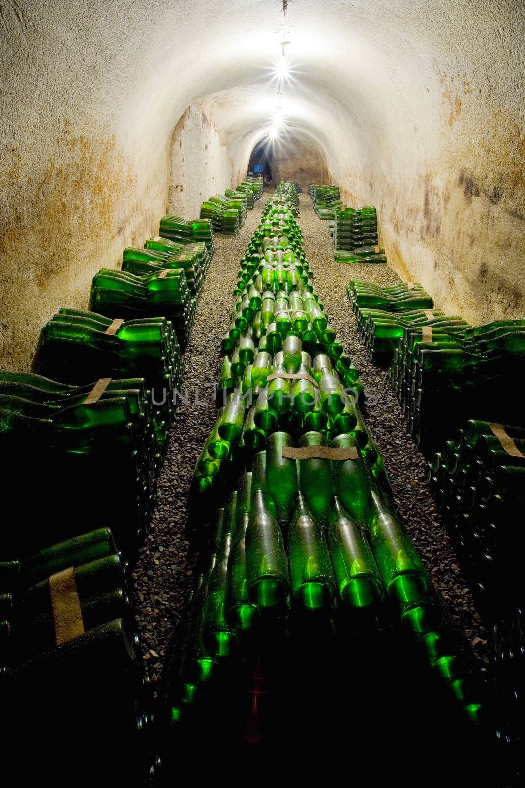 wine archive, Hort Winery, Znojmo - Dobsice, Czech Republic