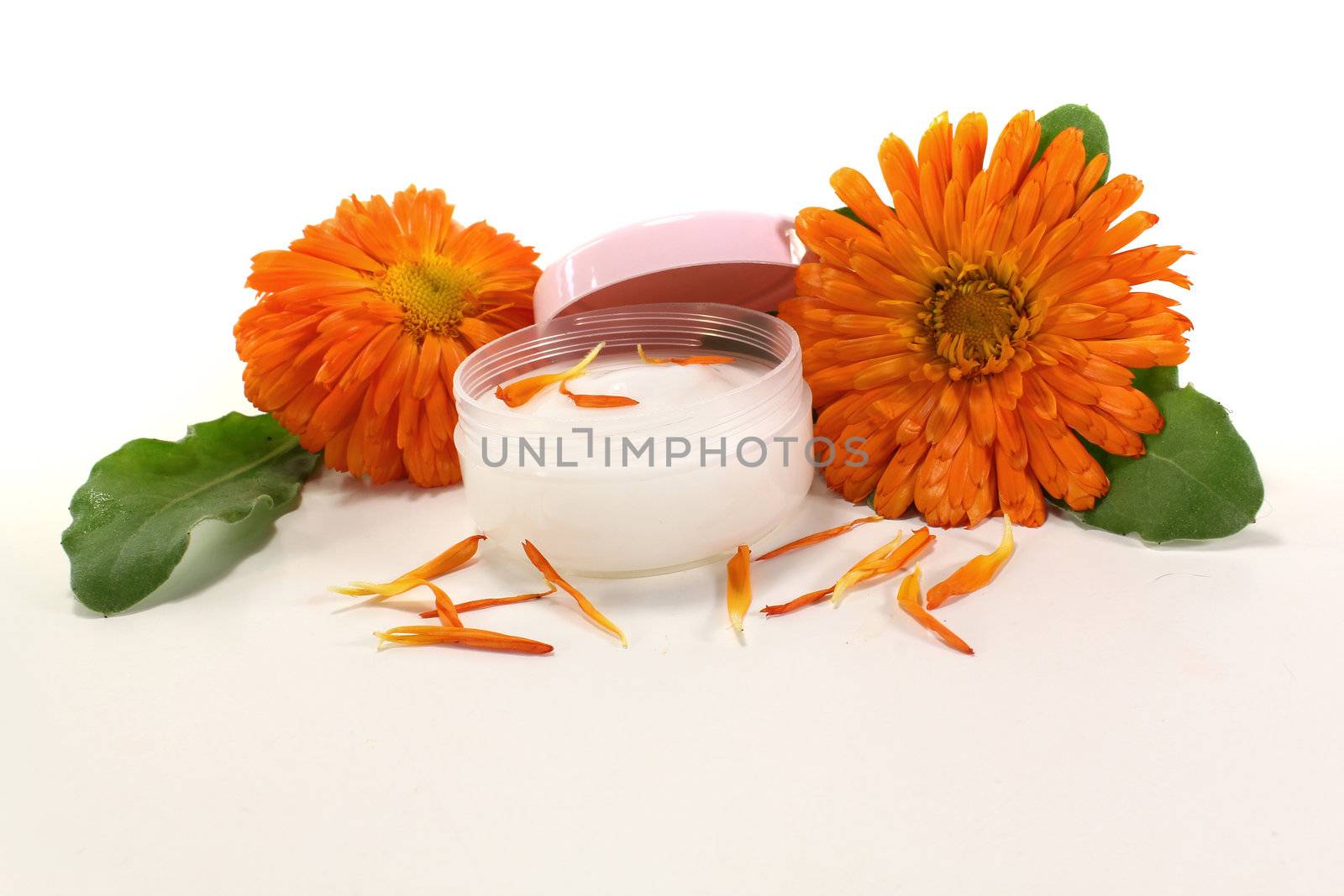 Calendula ointment with fresh marigold flowers, leaves and petals