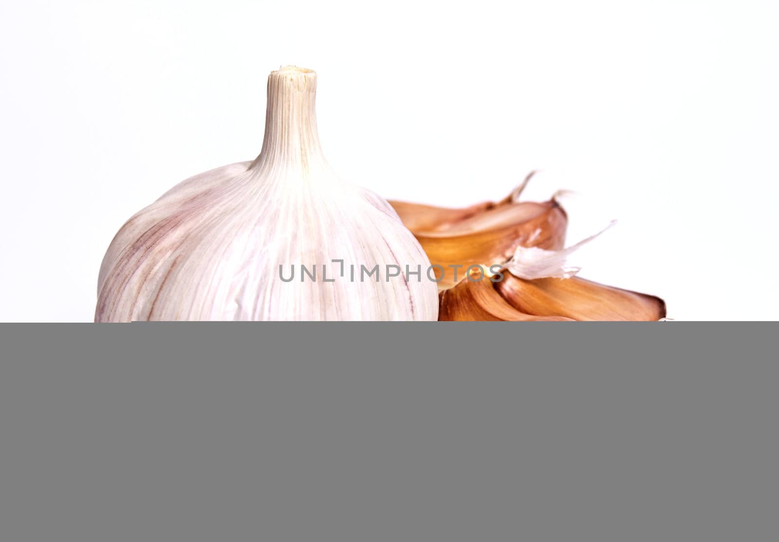 garlic on a white background by aziatik13