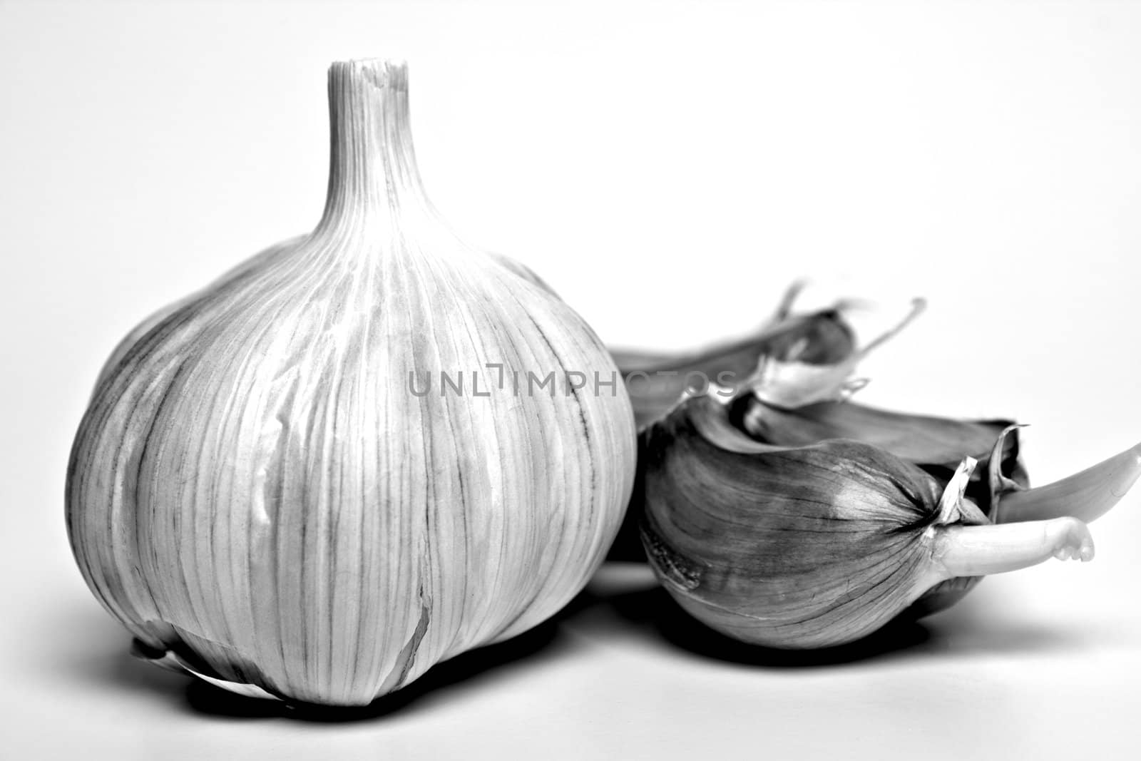 two heads of garlic on a white background